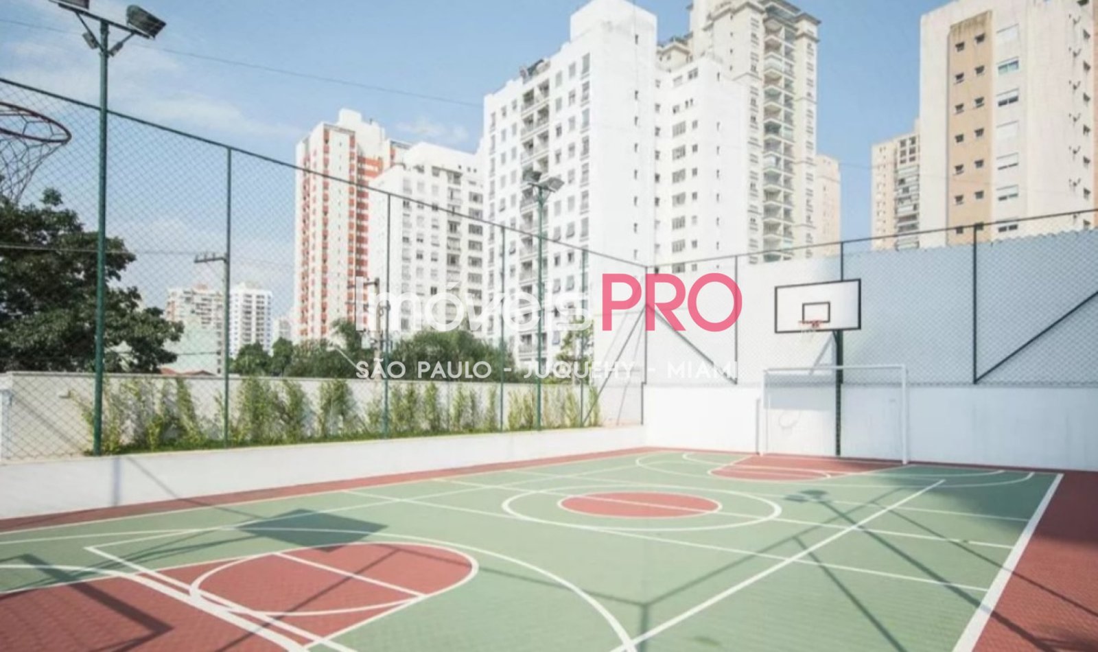 Foto :: IP38467