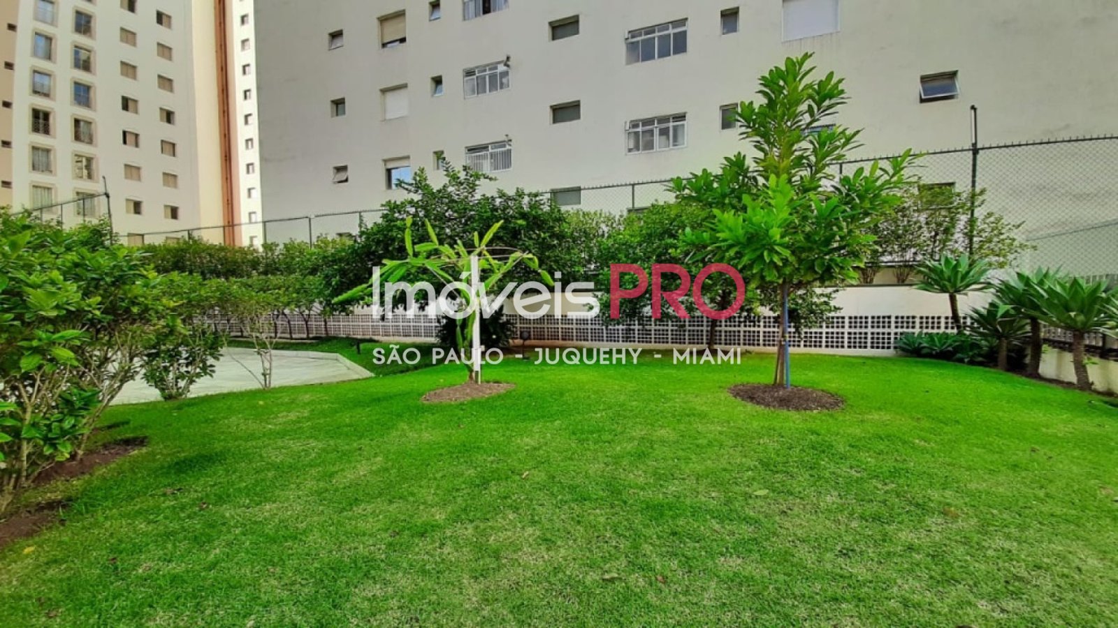 Apartamento para Alugar, Moema Pássaros | Cód: IP38474 — 