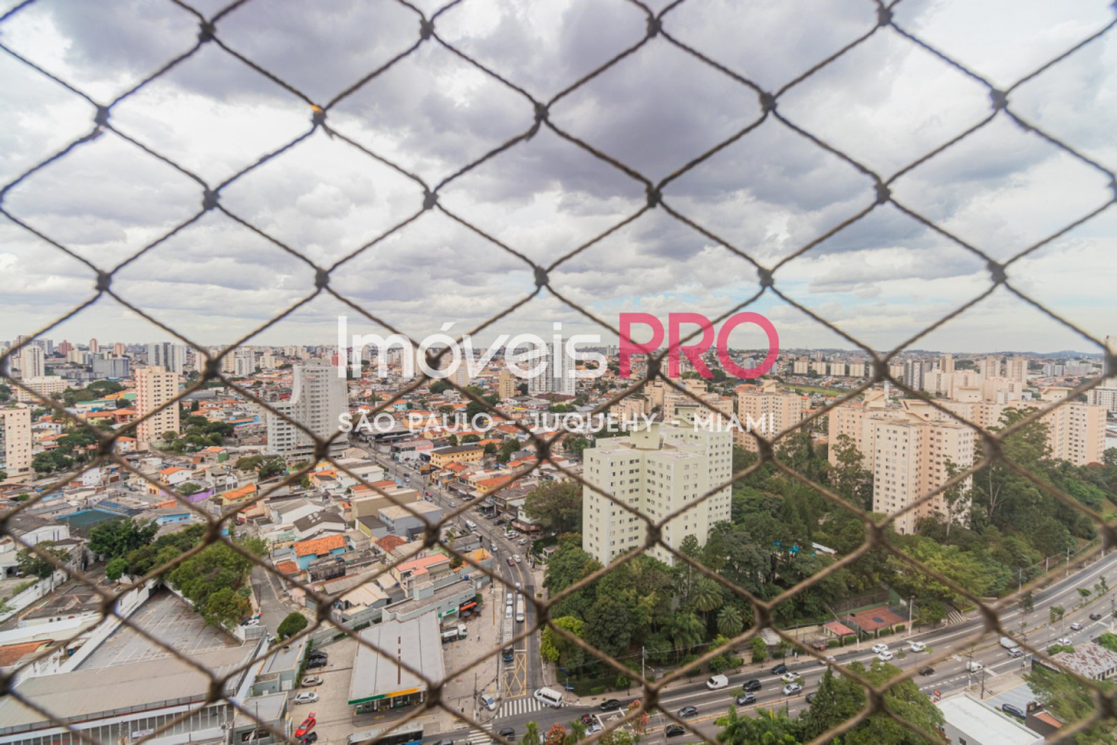 Foto :: IP38496