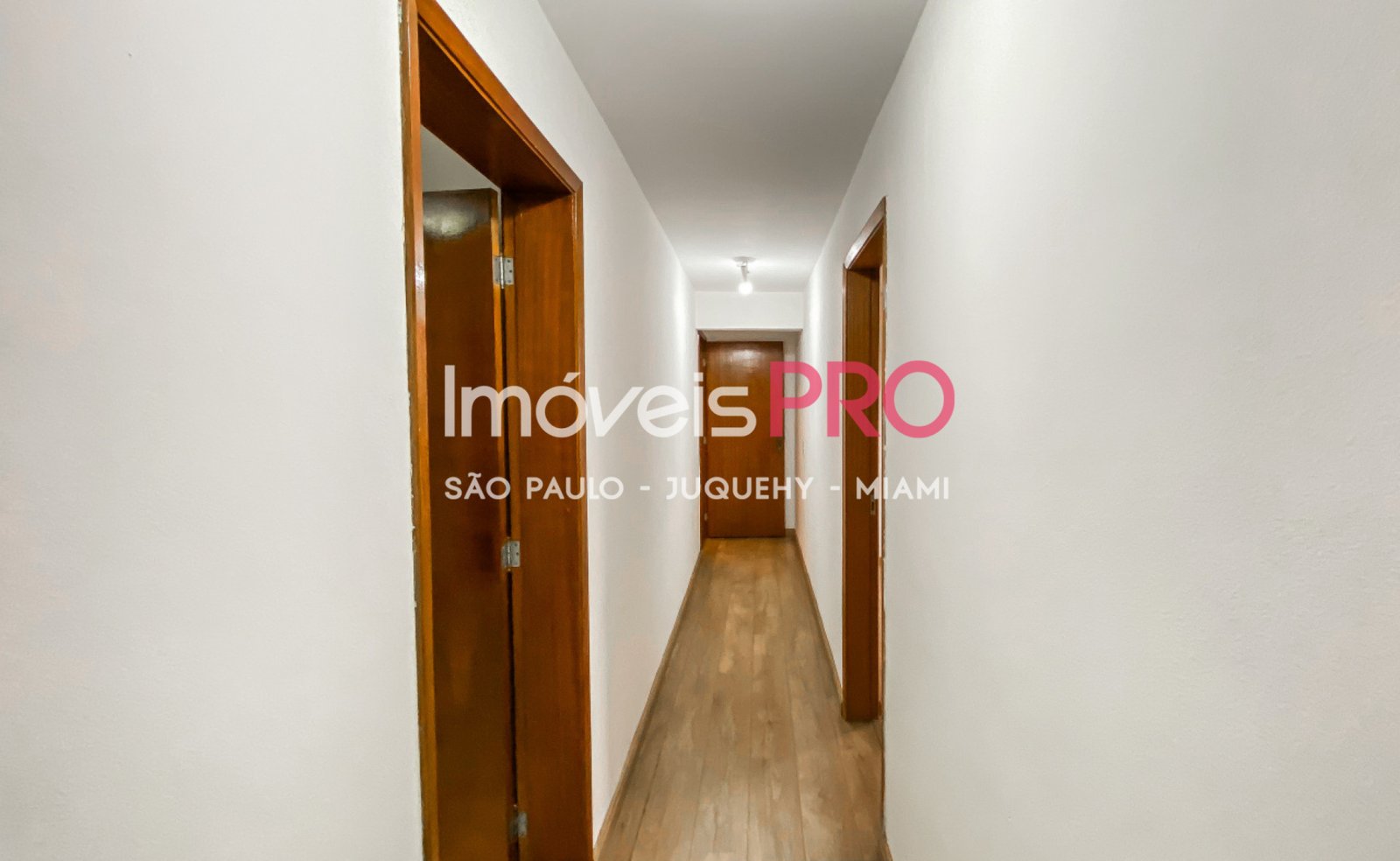 Foto :: IP38506