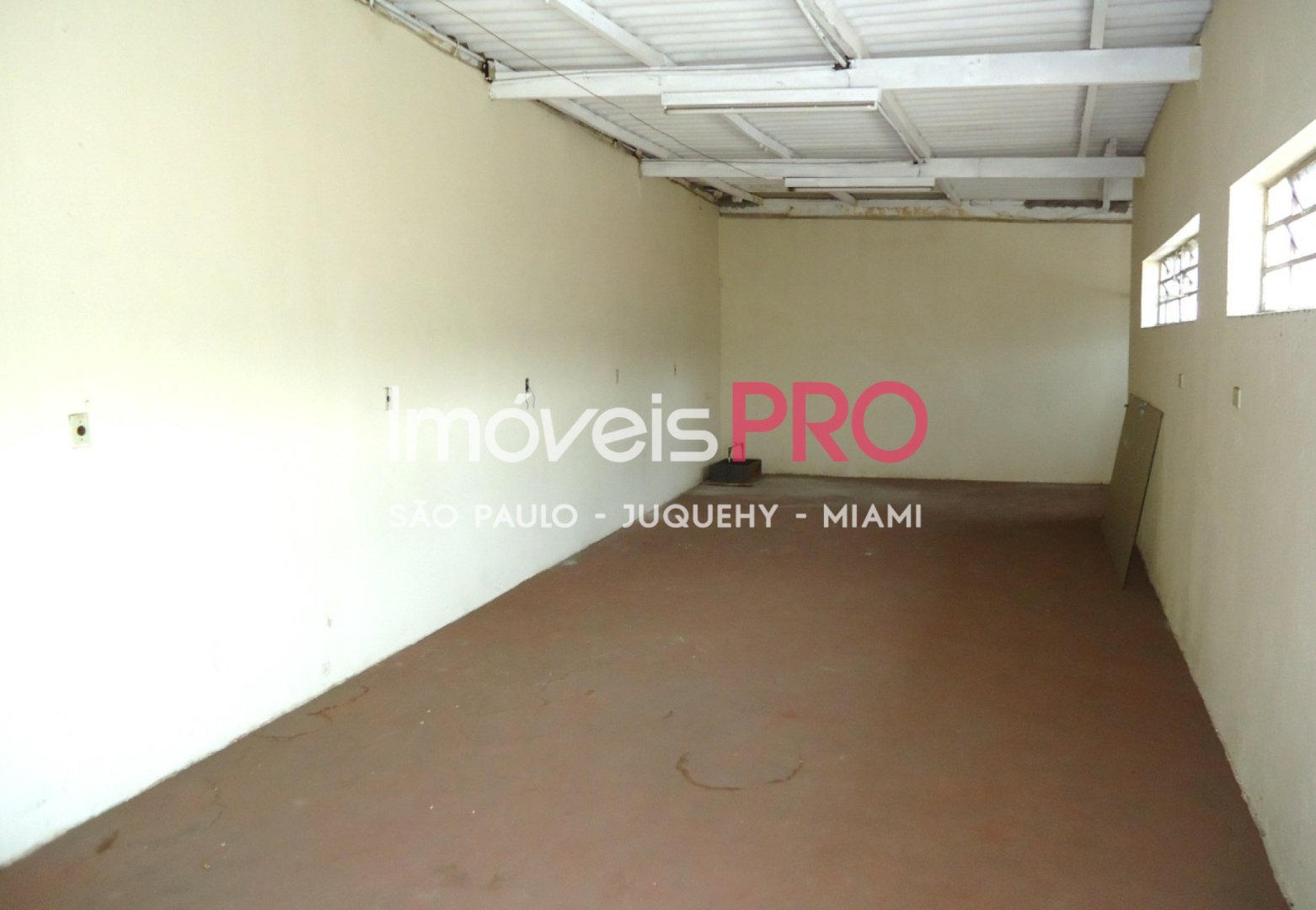 Foto :: IP38510