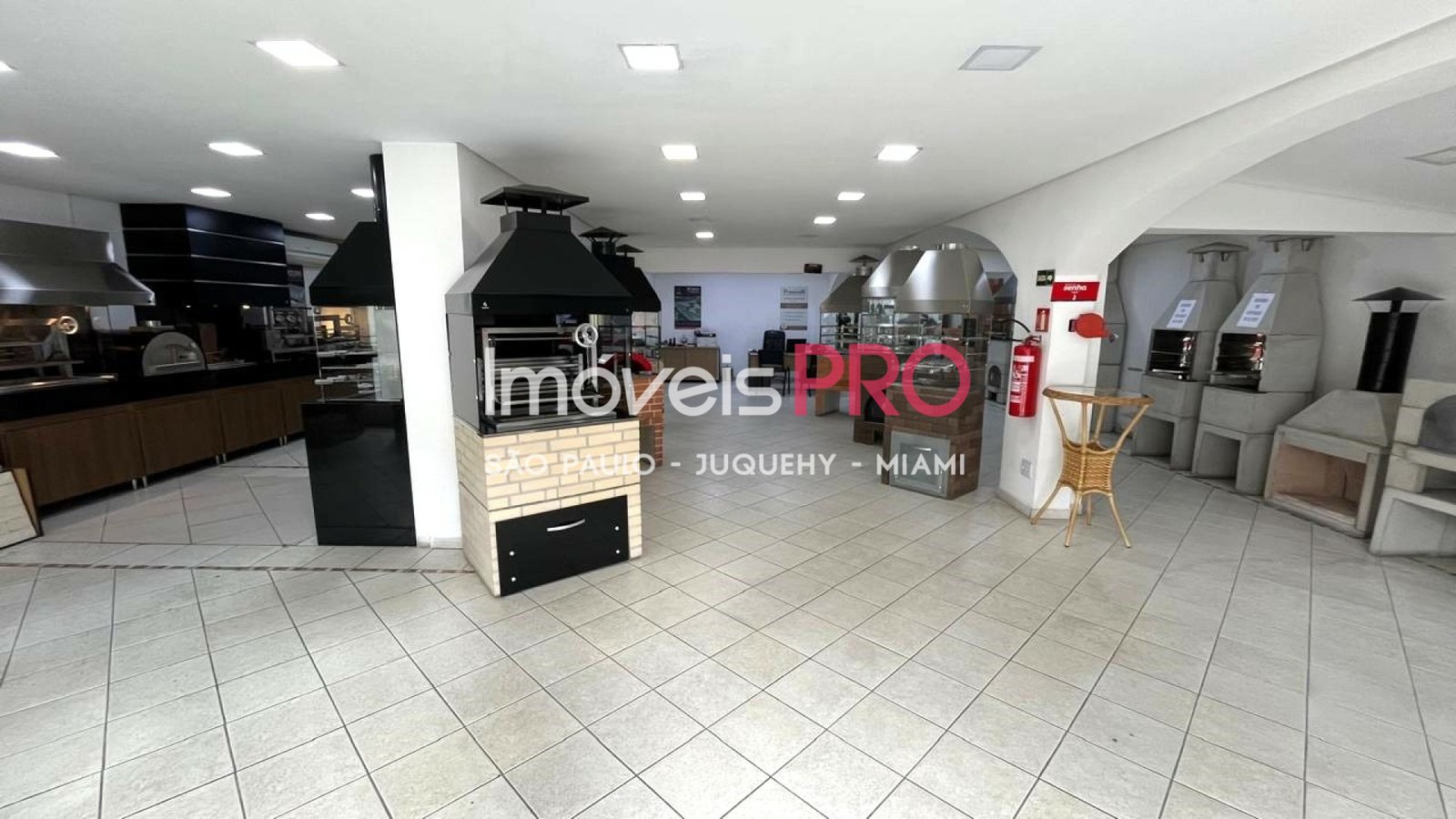 Foto :: IP38510