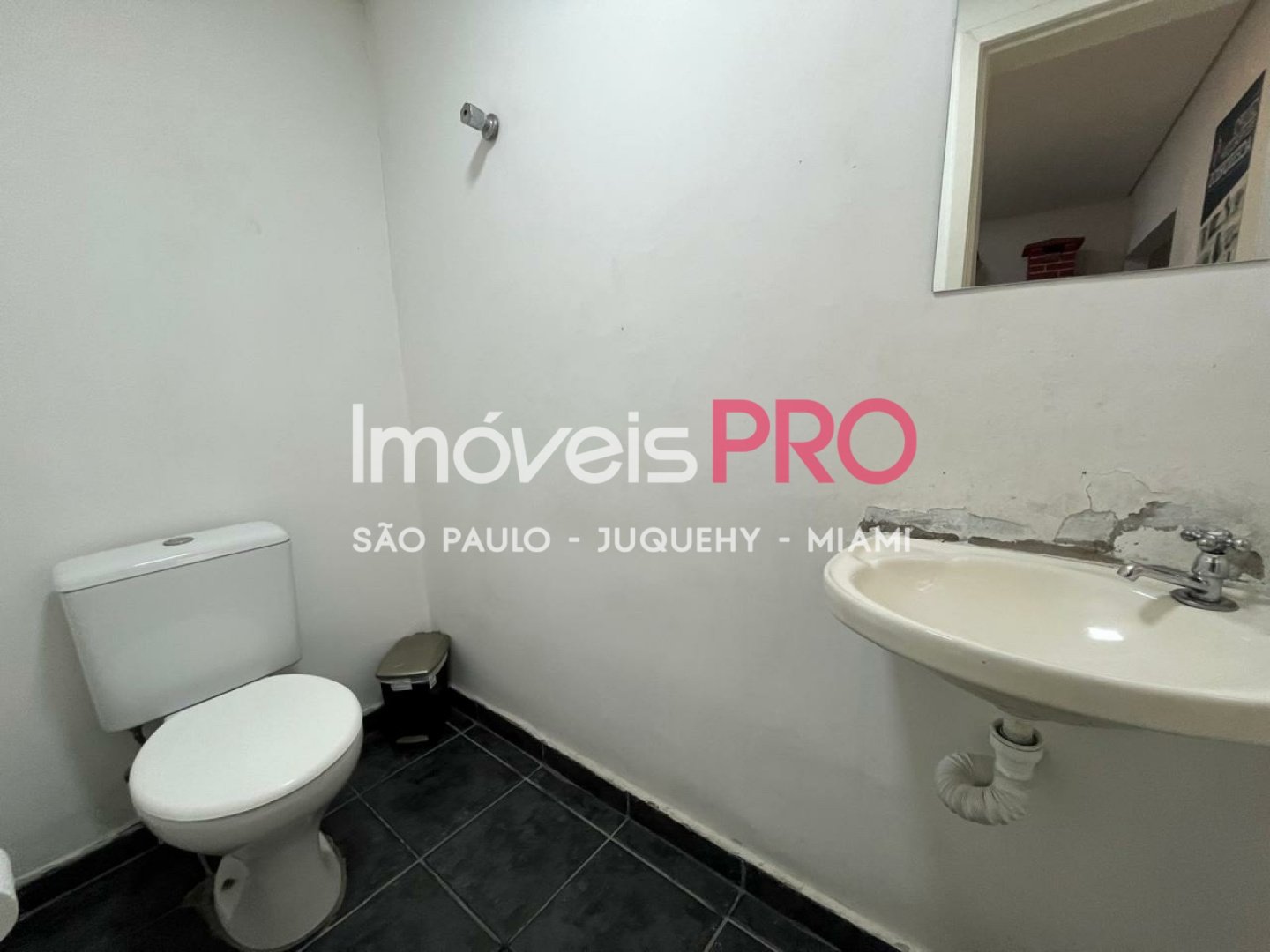 Foto :: IP38510