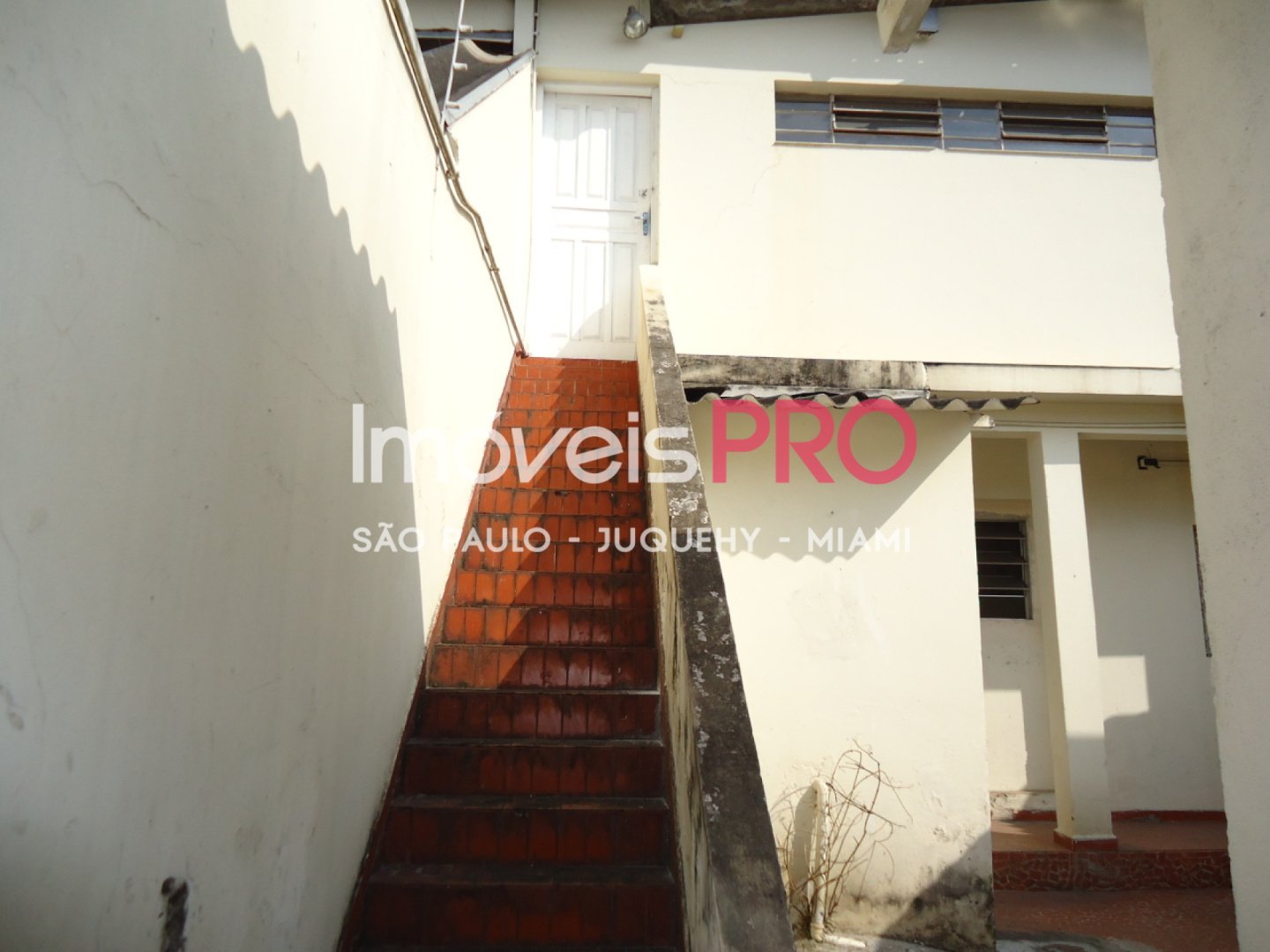 Foto :: IP38510