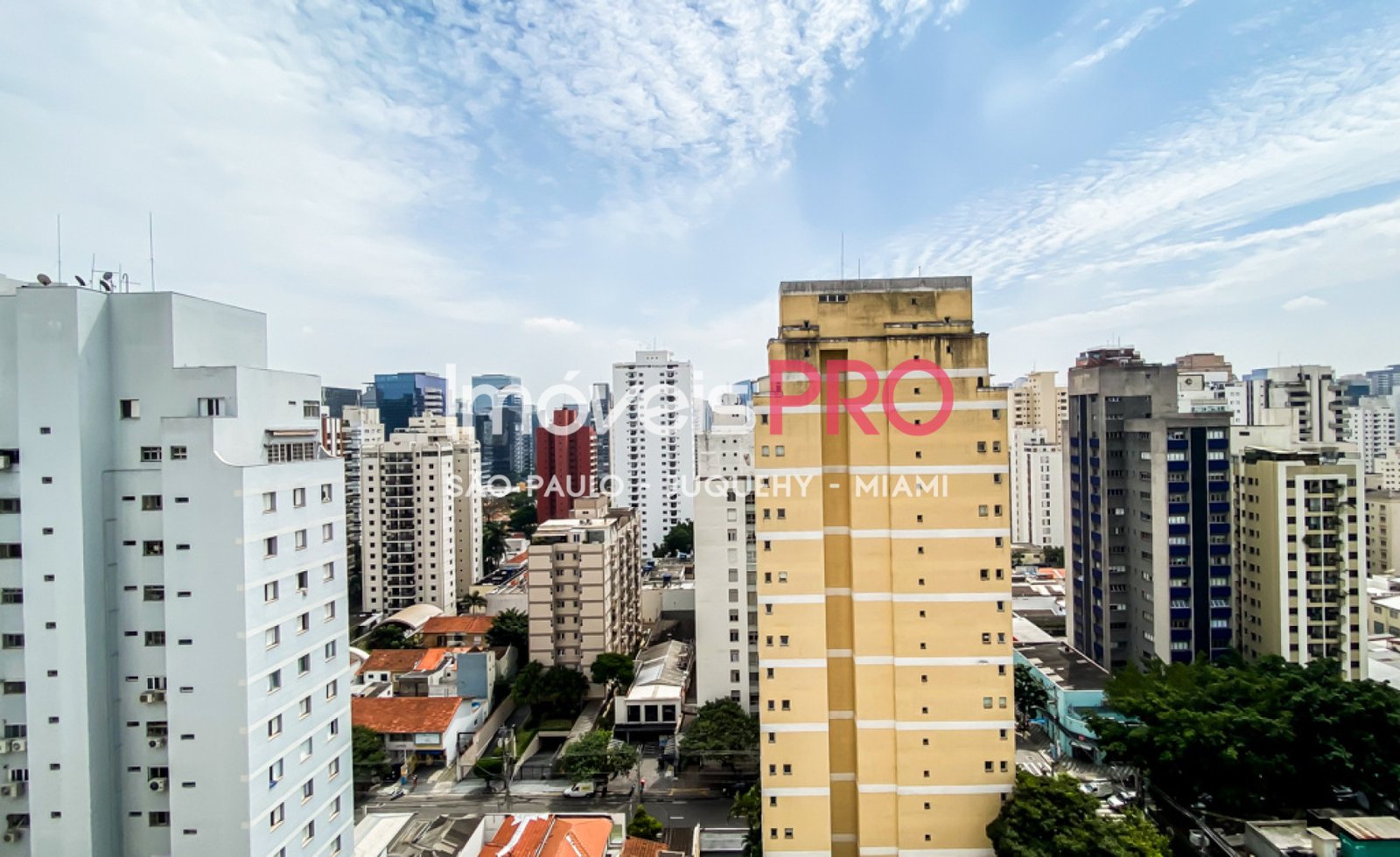 Foto :: IP38511