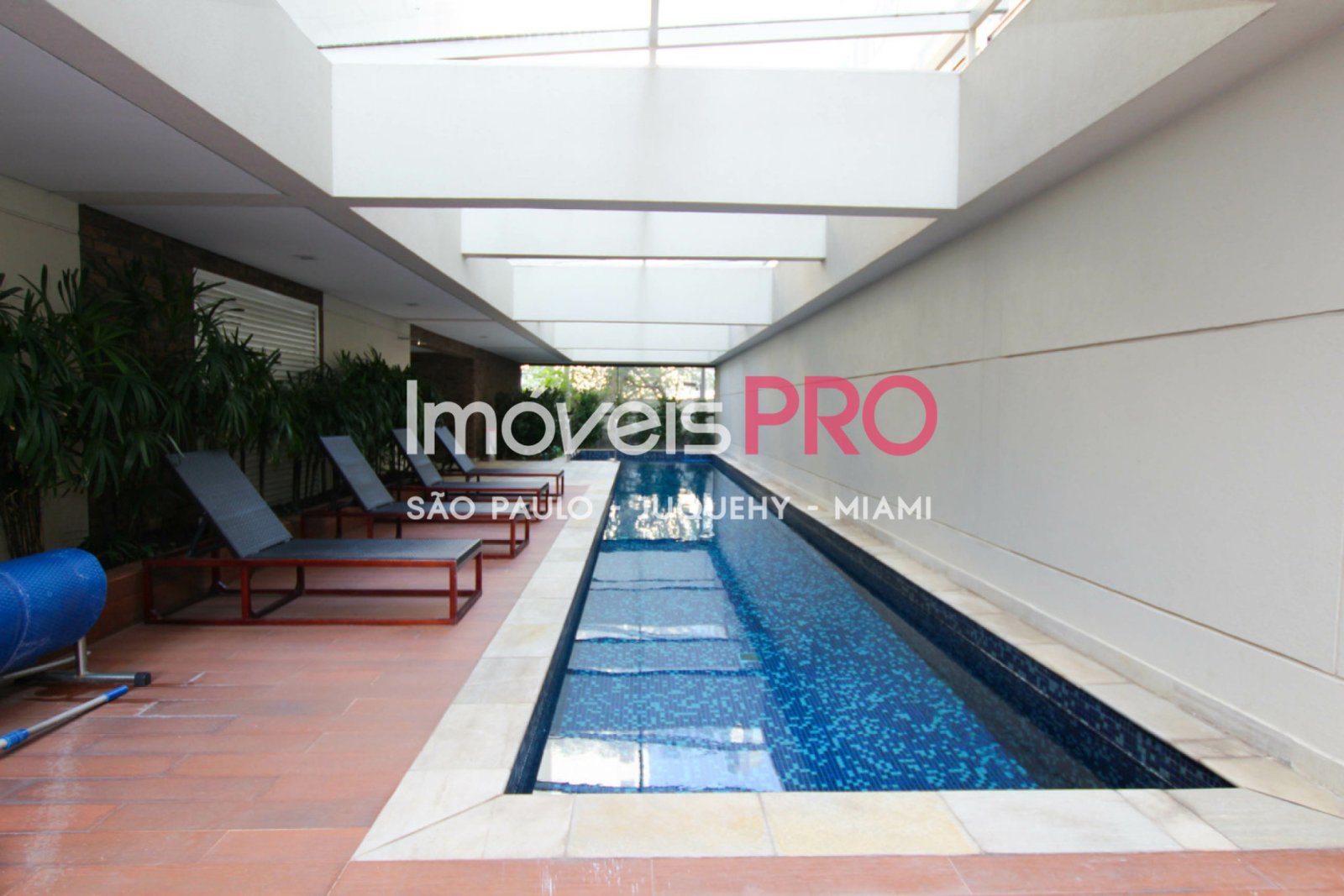 Foto :: IP38524