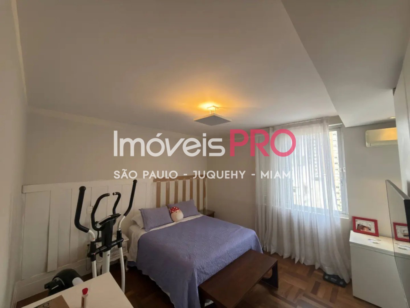 Foto :: IP38540