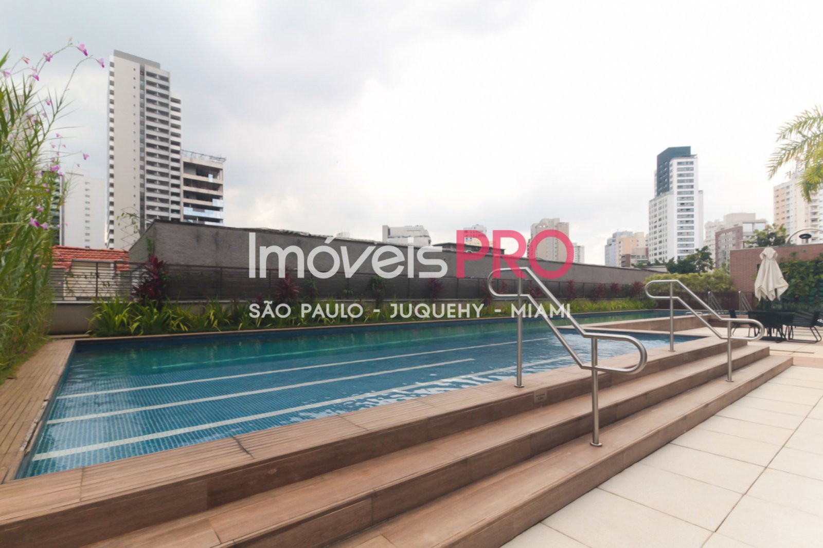 Foto :: IP38546