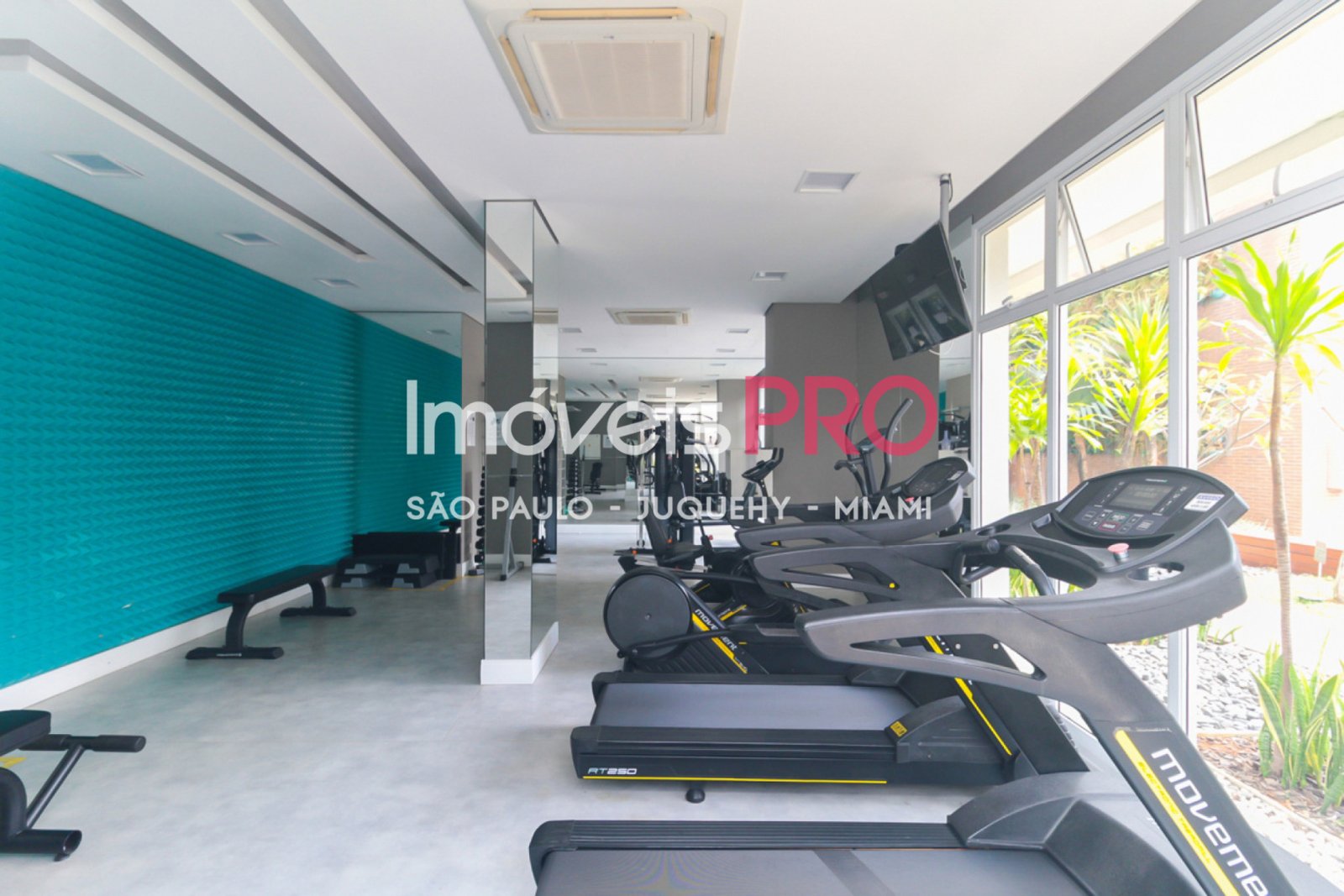 Foto :: IP38546