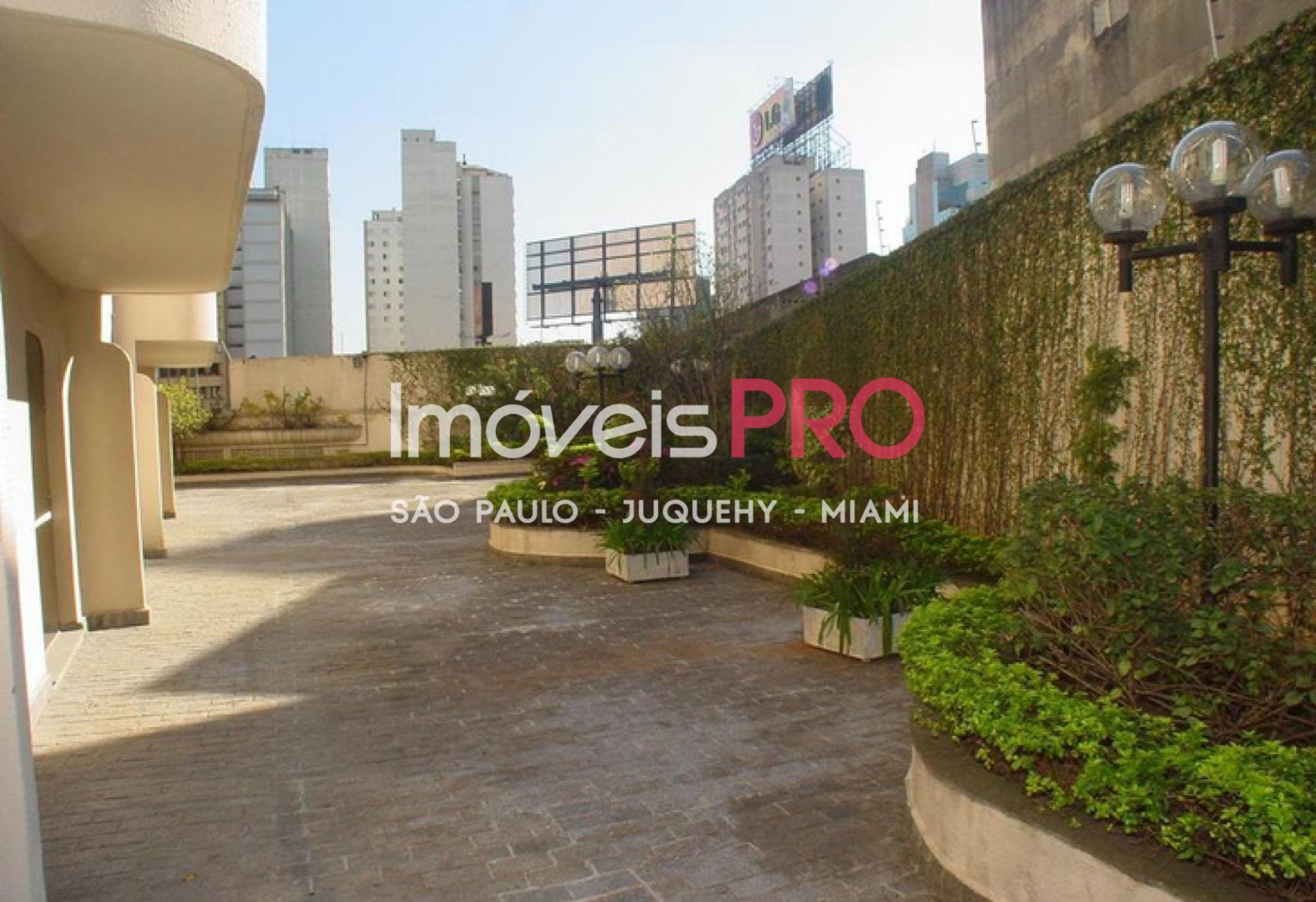 Foto :: IP38548