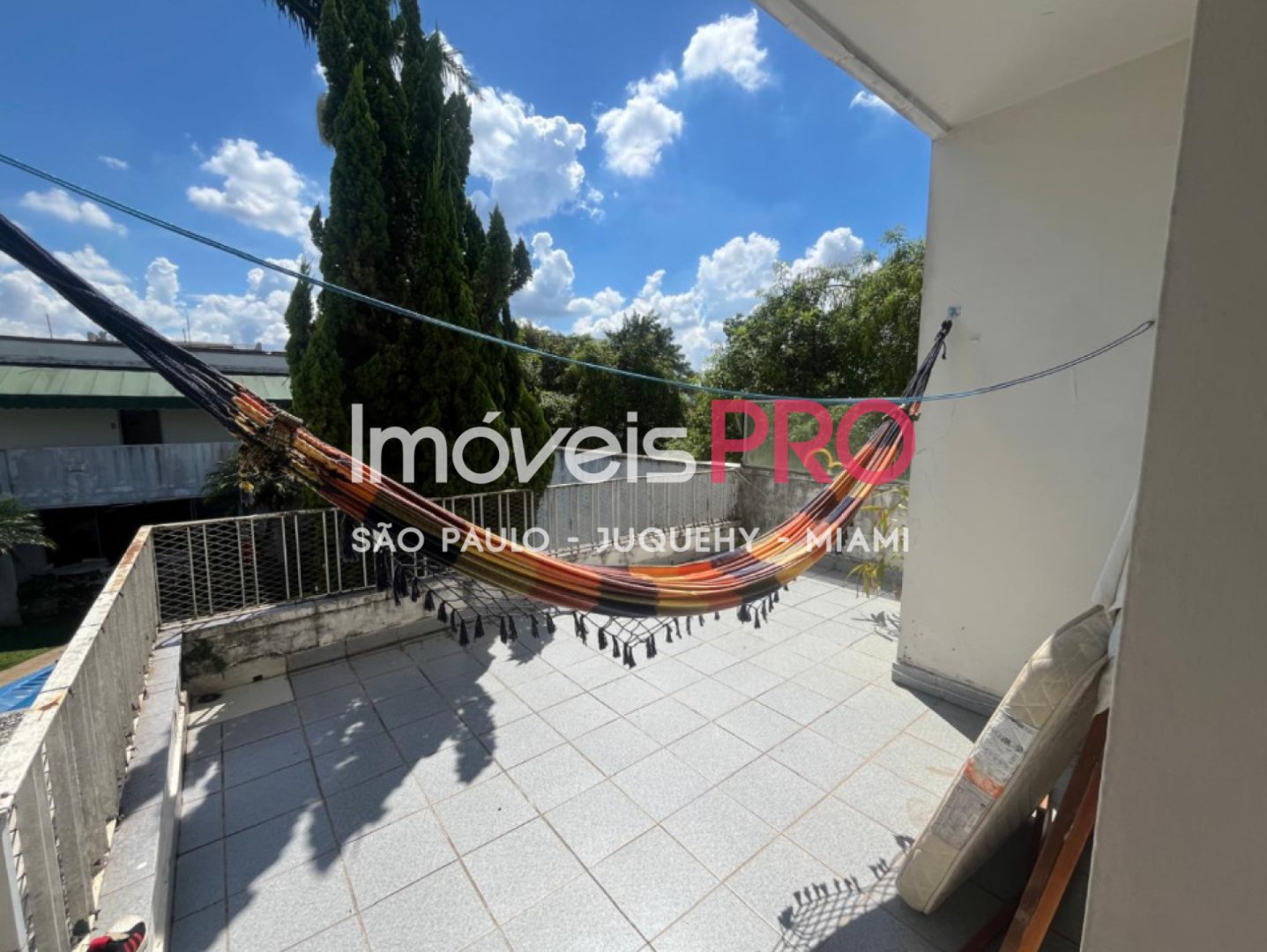 Foto :: IP38569
