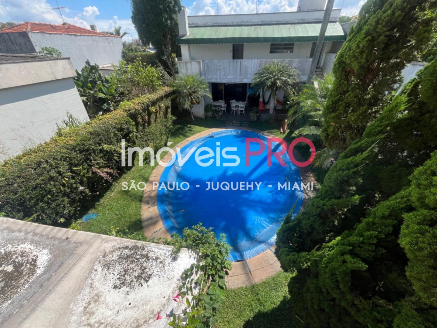 Foto :: IP38569