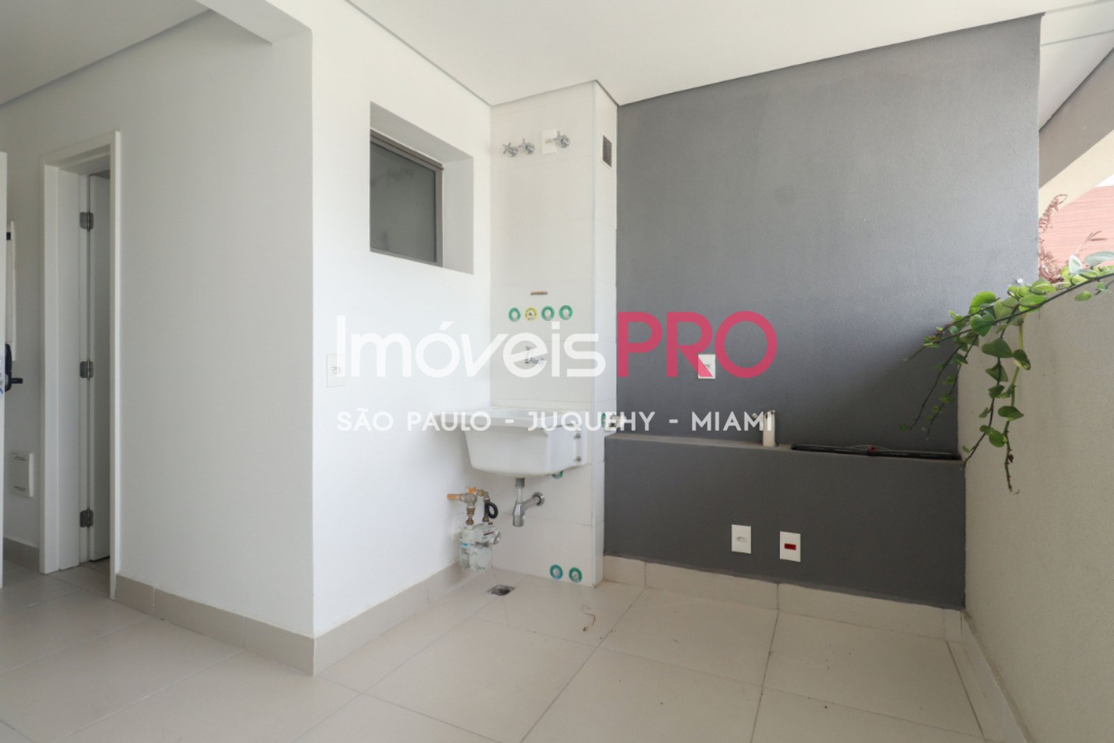 Foto :: IP38571