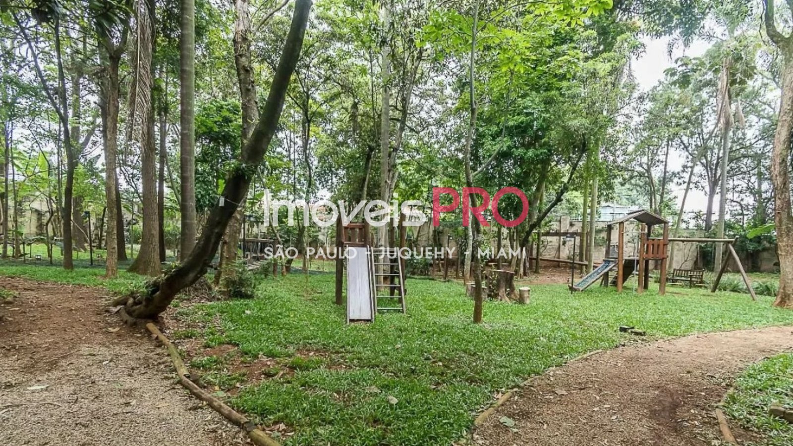Foto :: IP38572