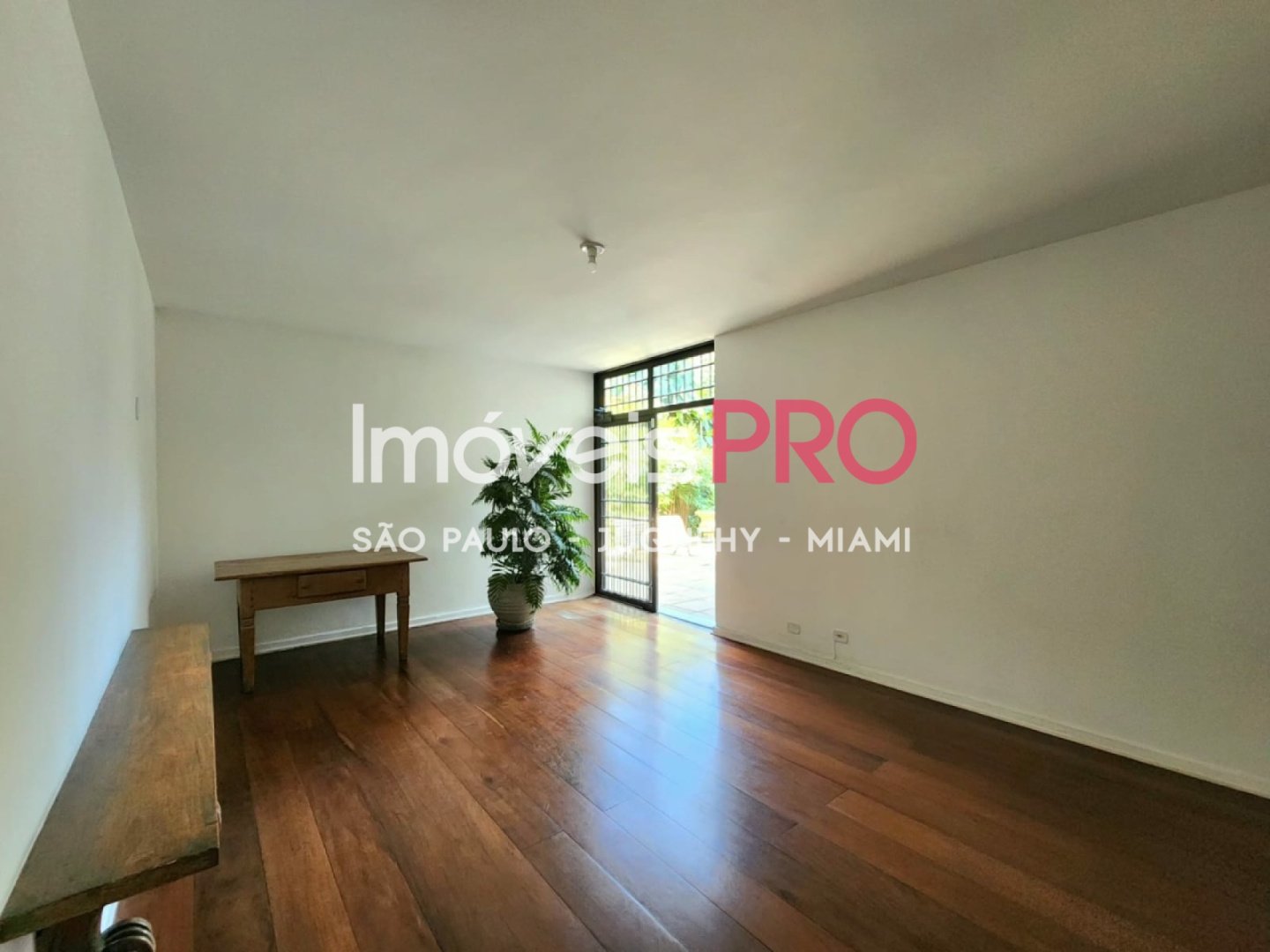 Foto :: IP38574