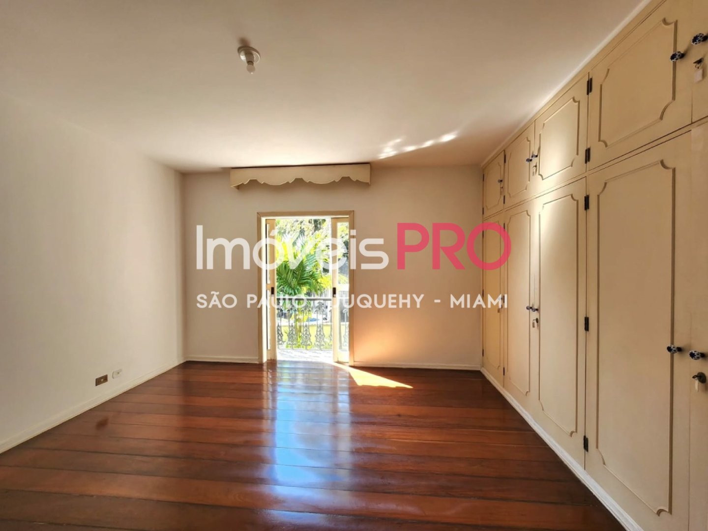 Foto :: IP38574