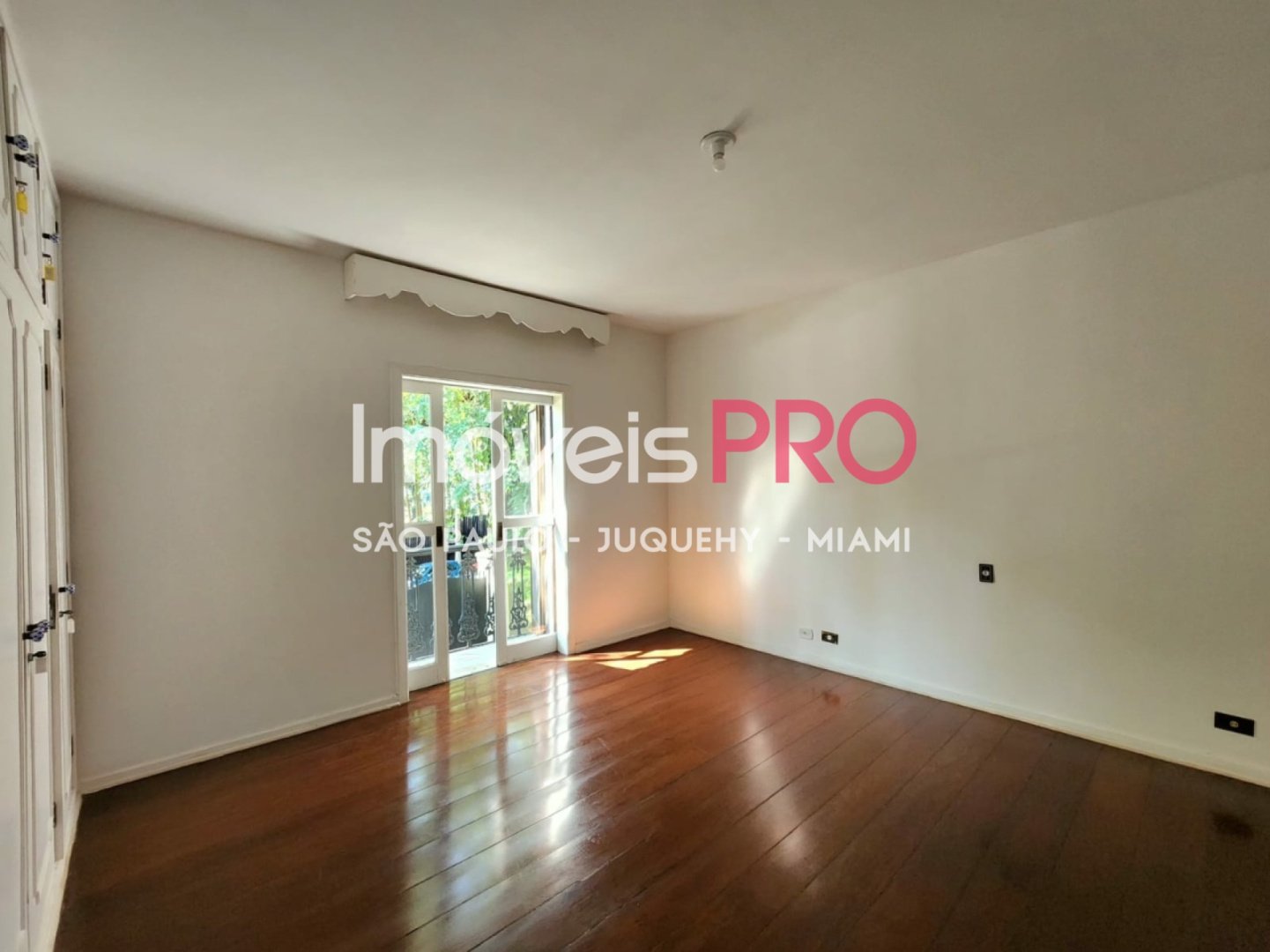 Foto :: IP38574