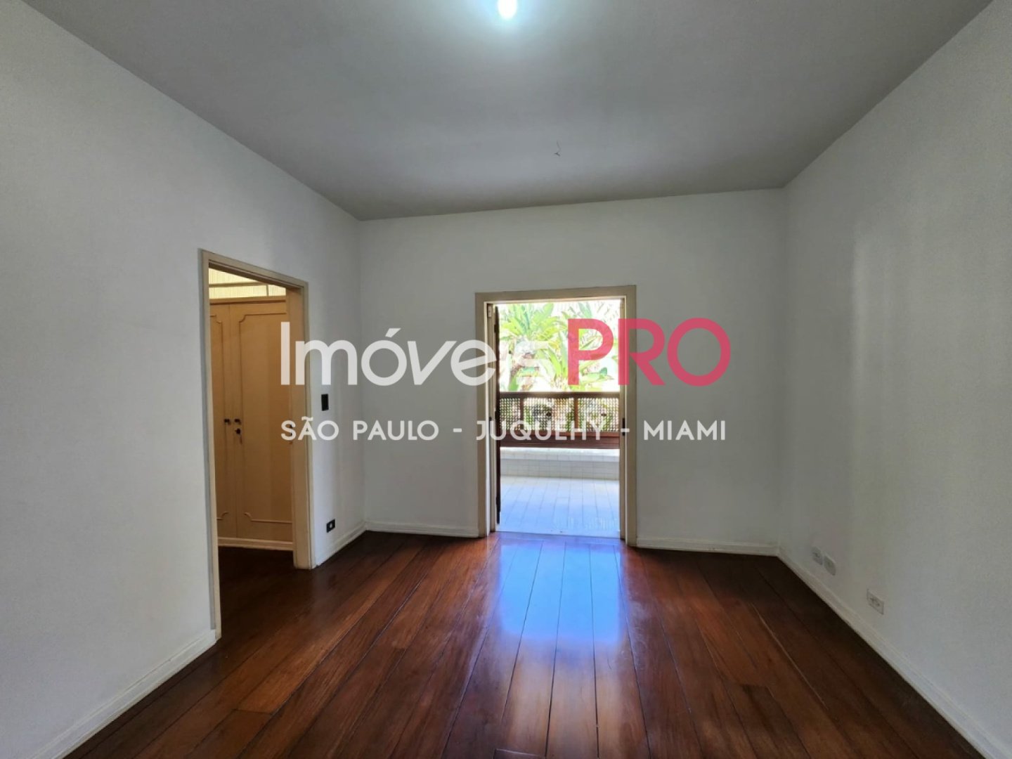 Foto :: IP38574