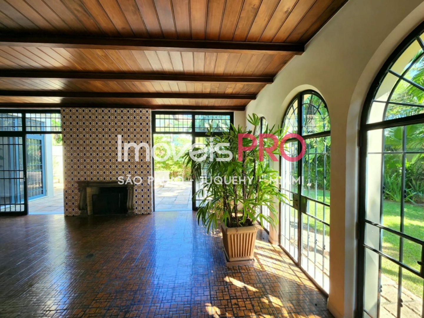 Foto :: IP38574