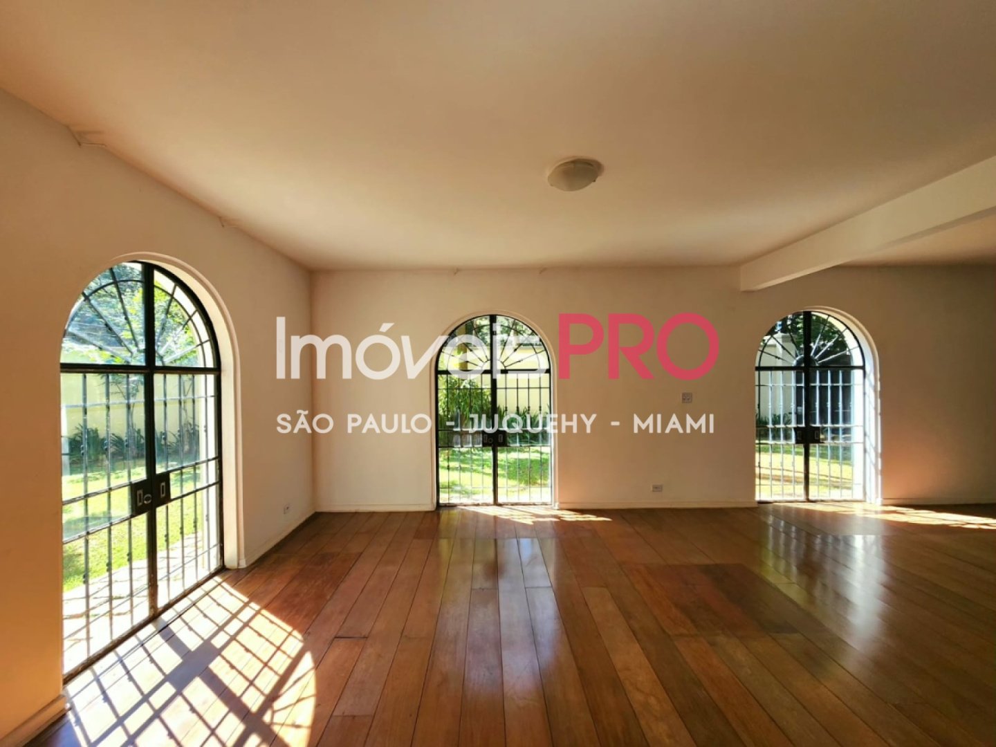 Foto :: IP38574