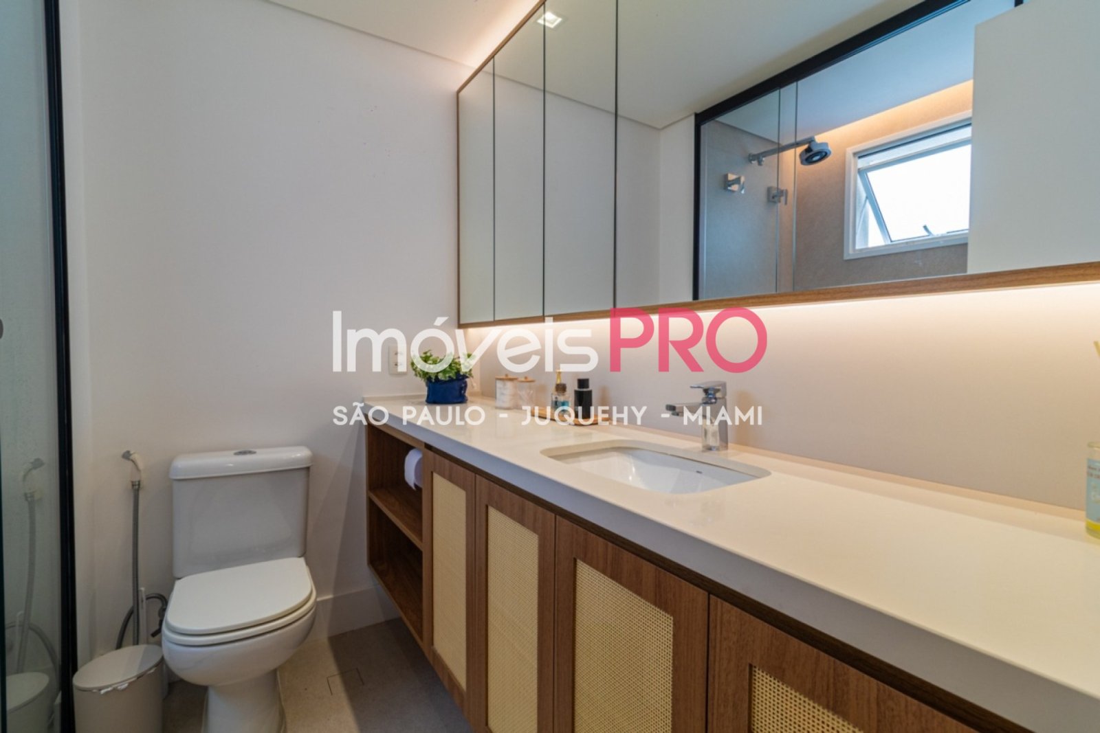 Foto :: IP38576