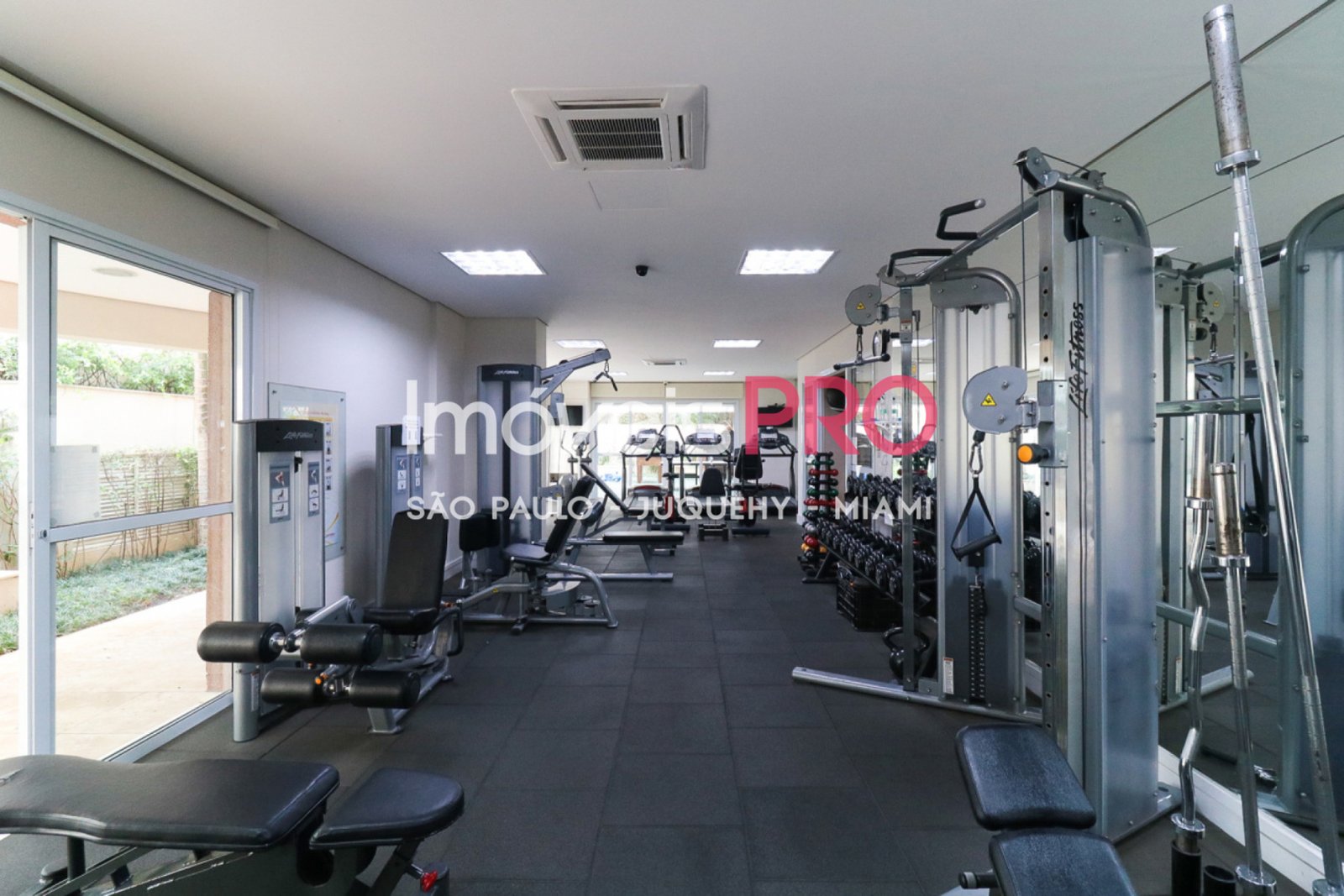 Foto :: IP38576