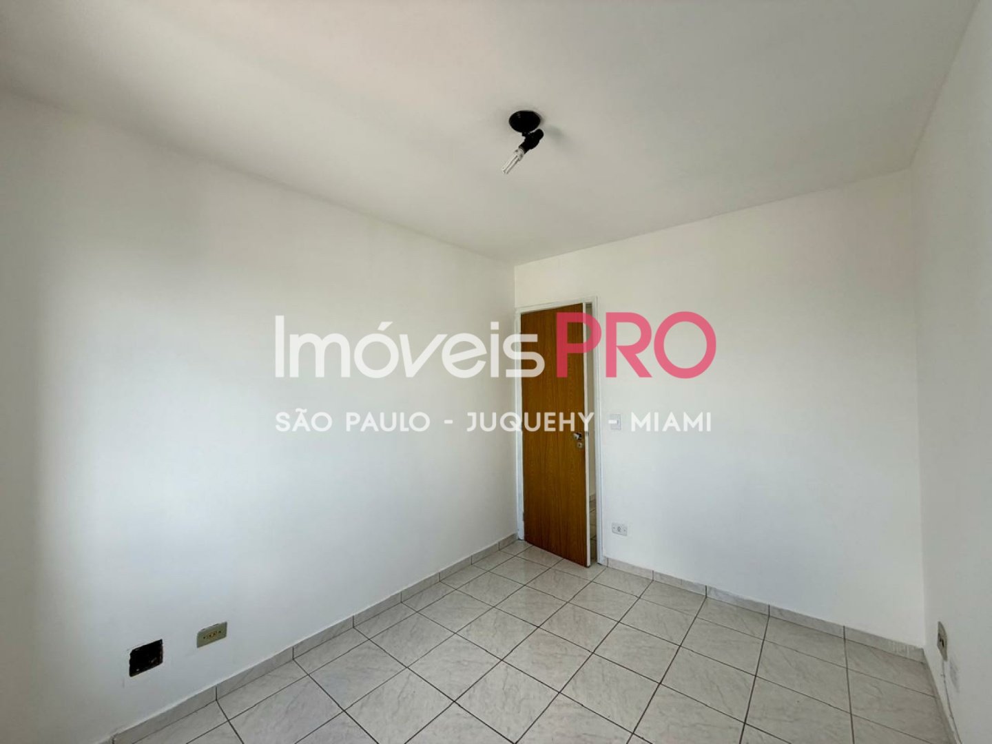 Foto :: IP38579