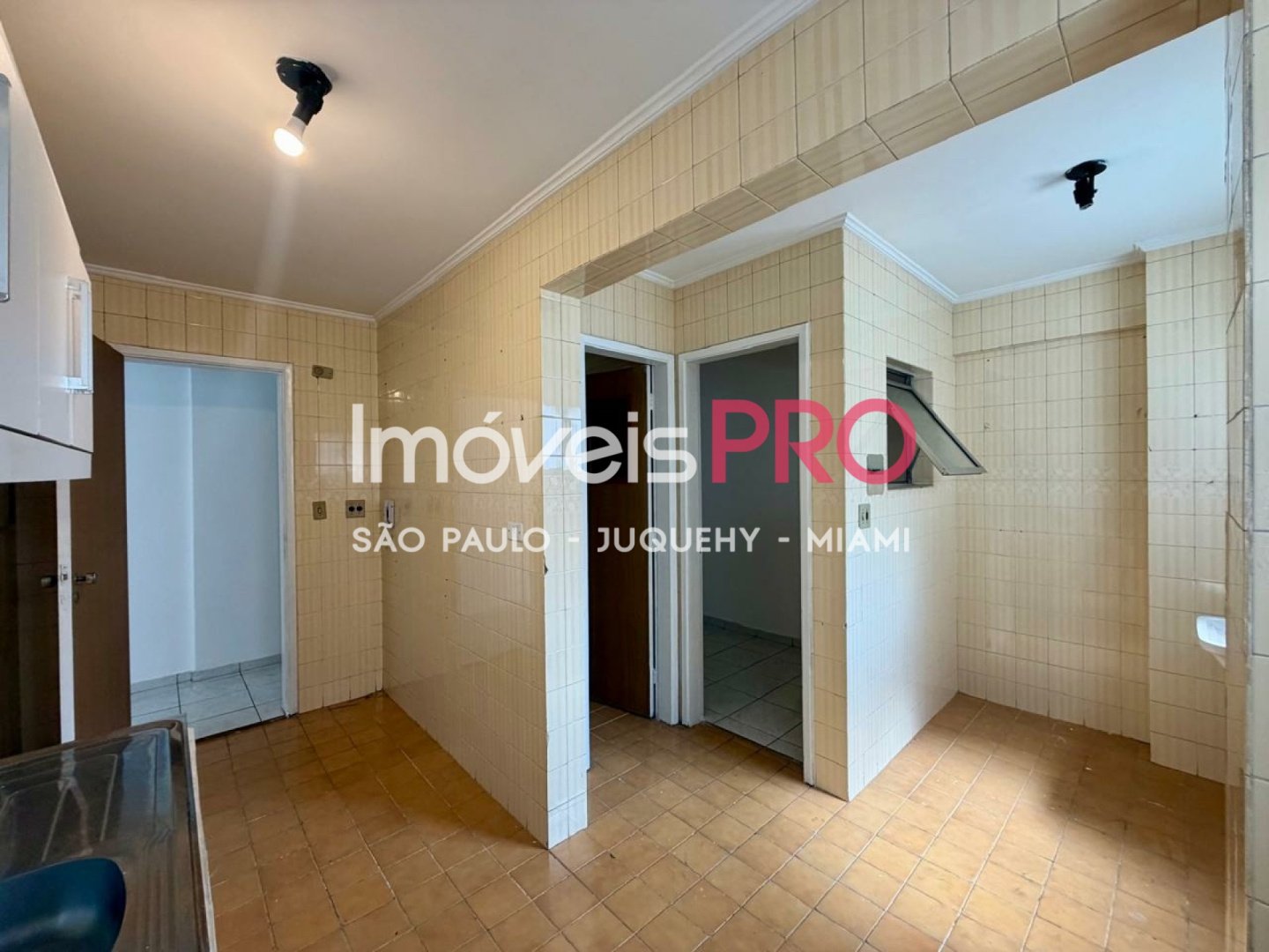 Foto :: IP38579