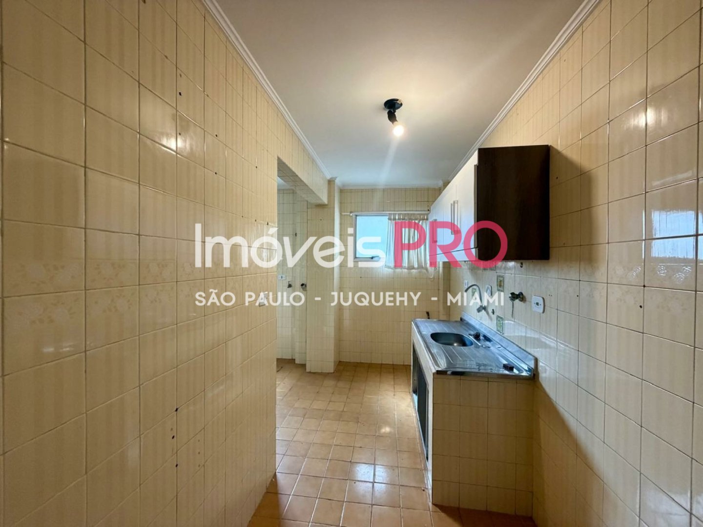 Foto :: IP38579