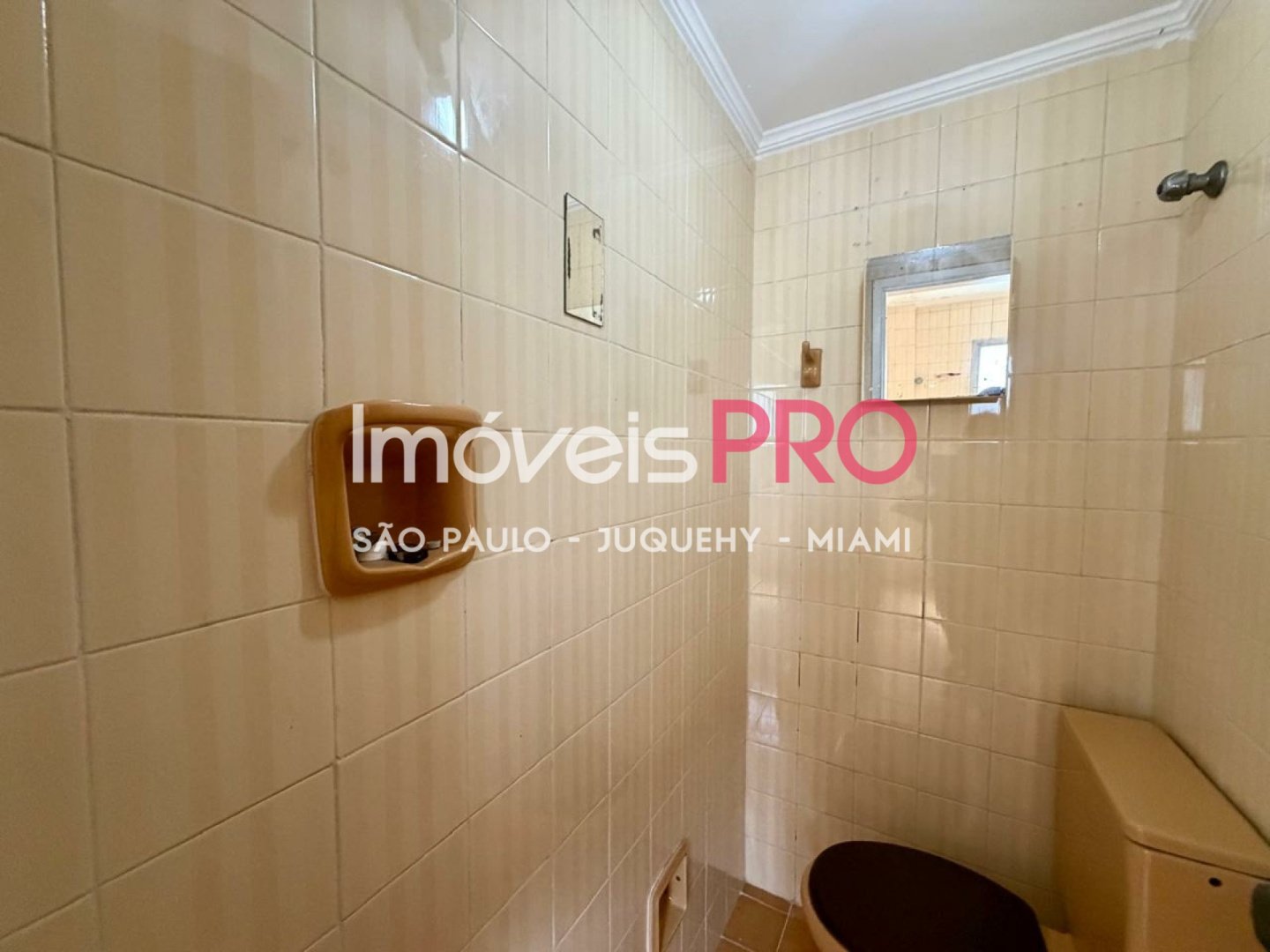 Foto :: IP38579