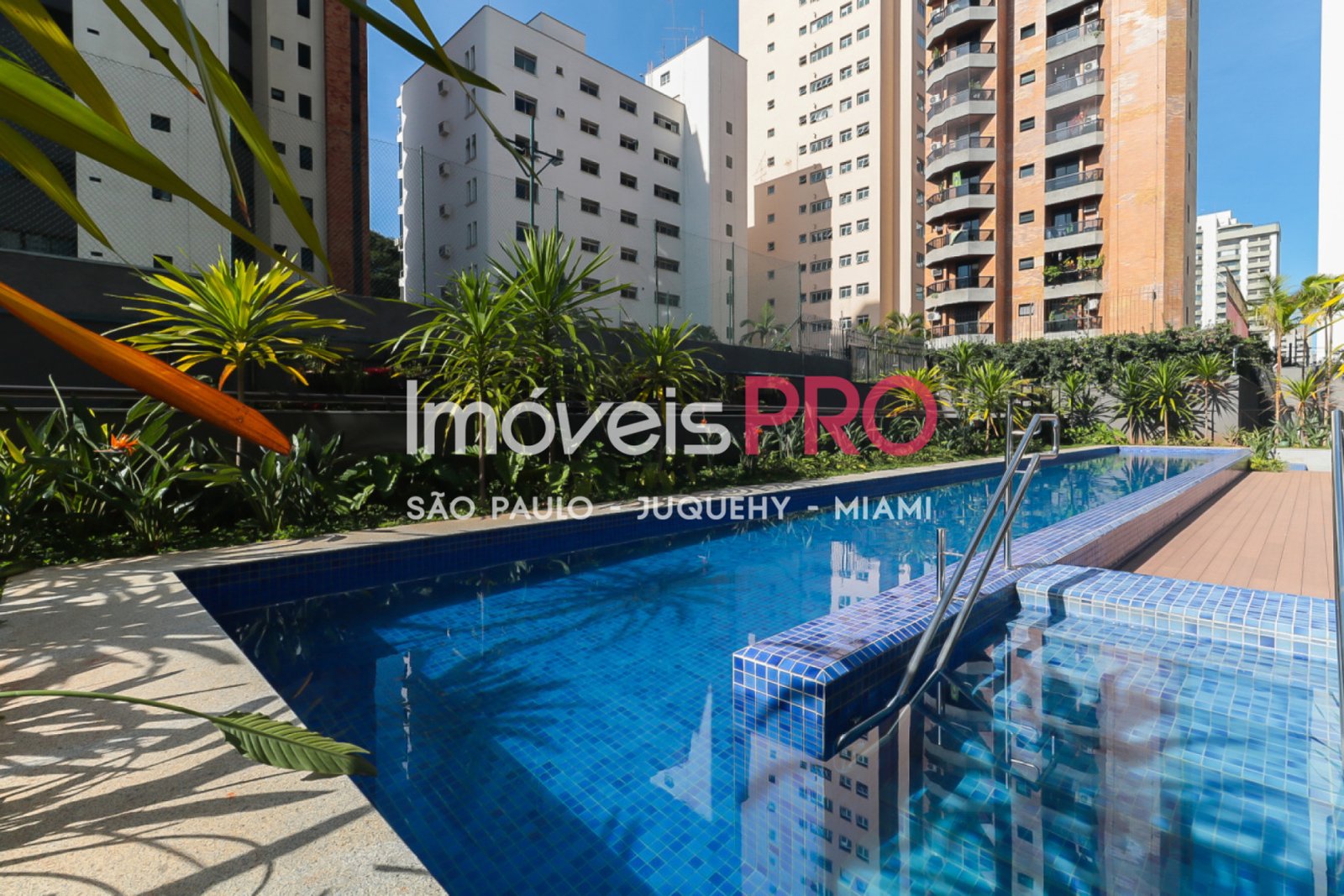 Foto :: IP38597