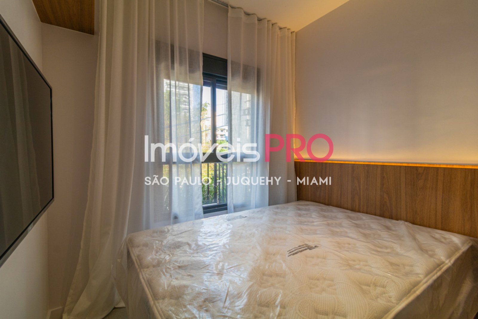 Foto :: IP38635