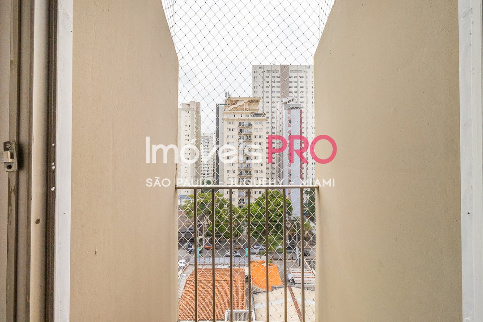 Foto :: IP38661