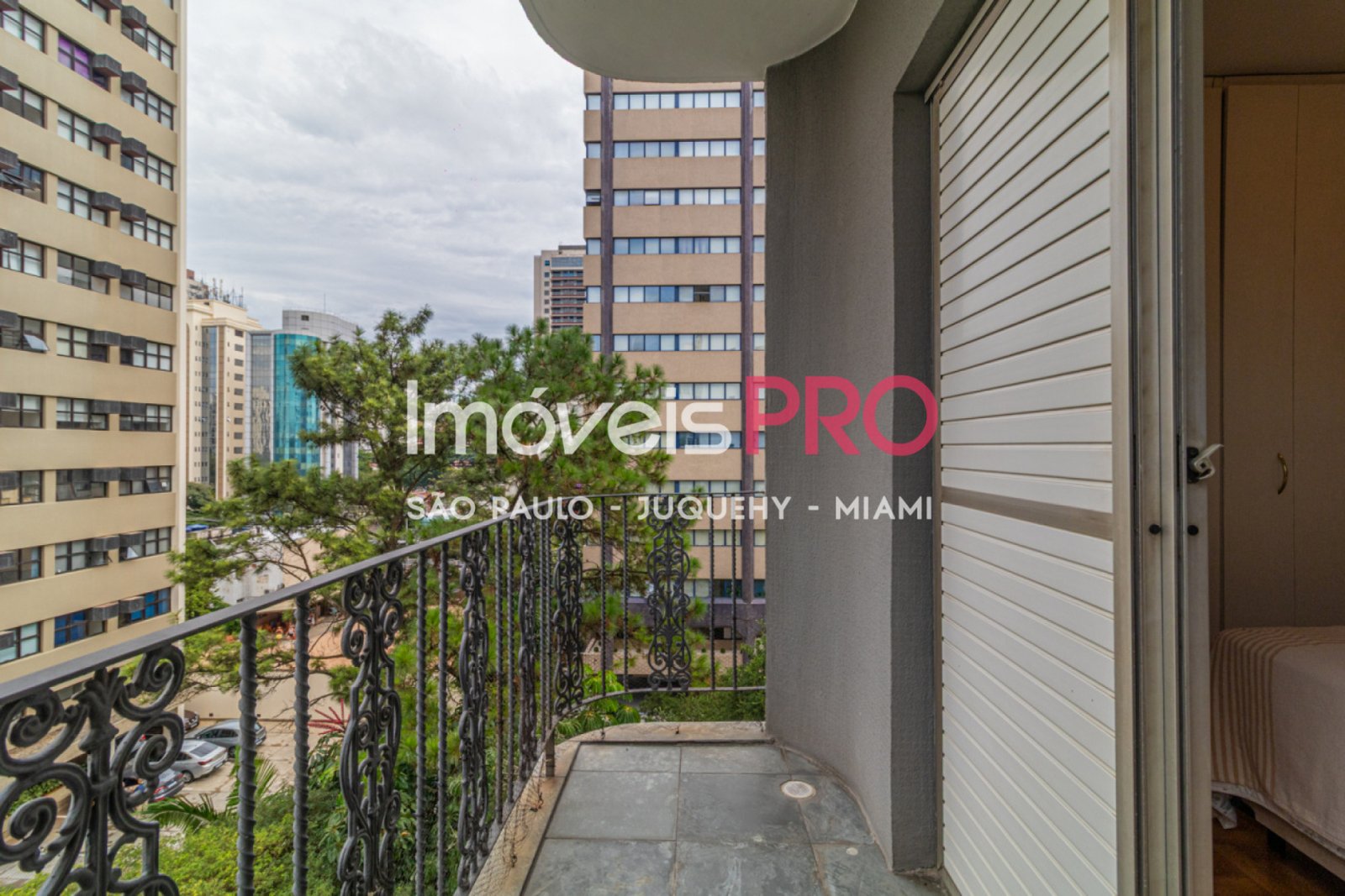 Foto :: IP38676