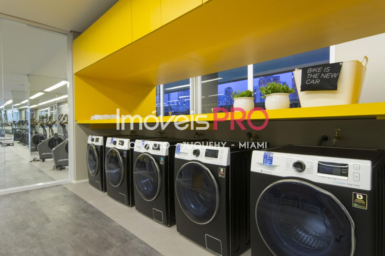 Foto :: IP38679