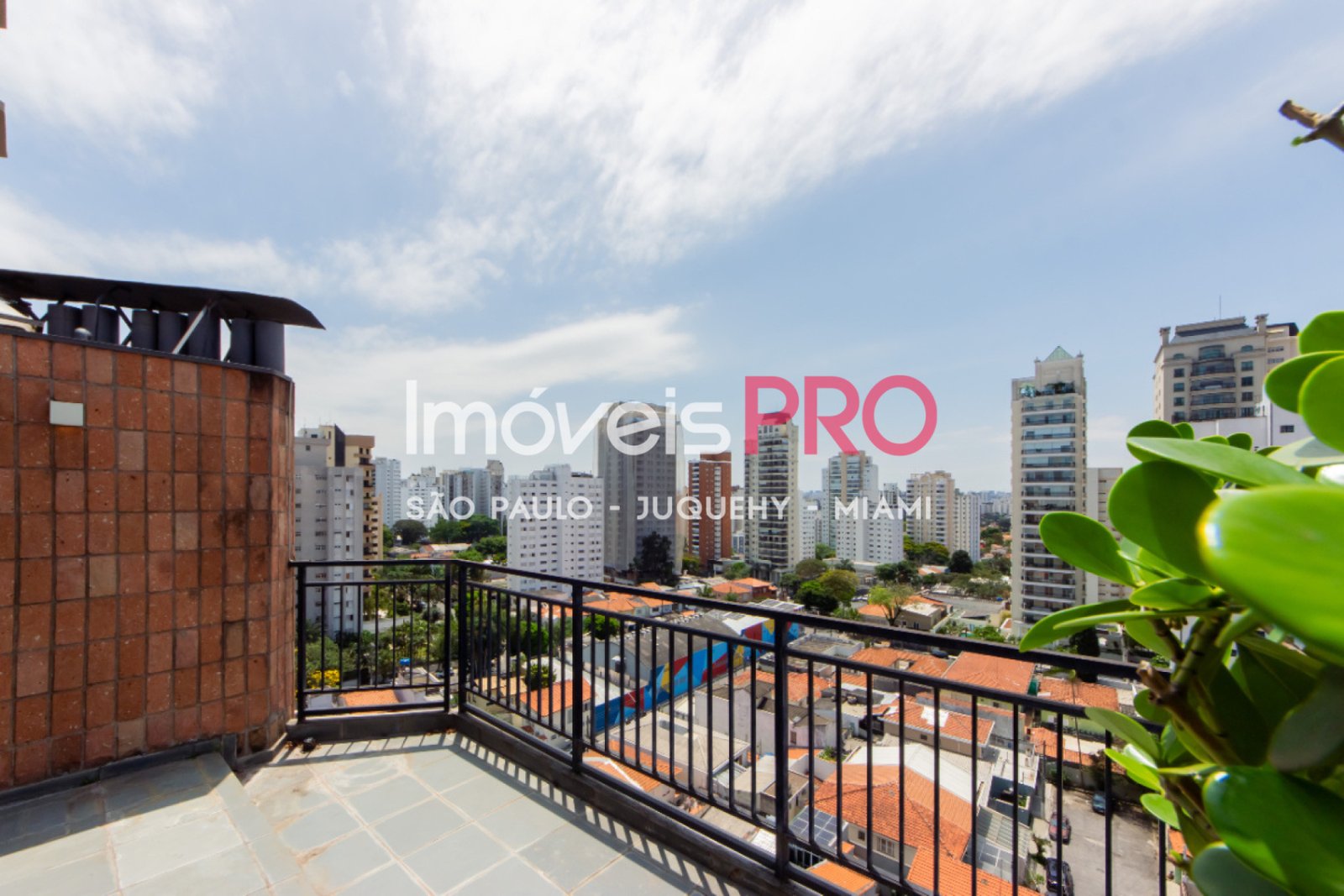 Foto :: IP38681