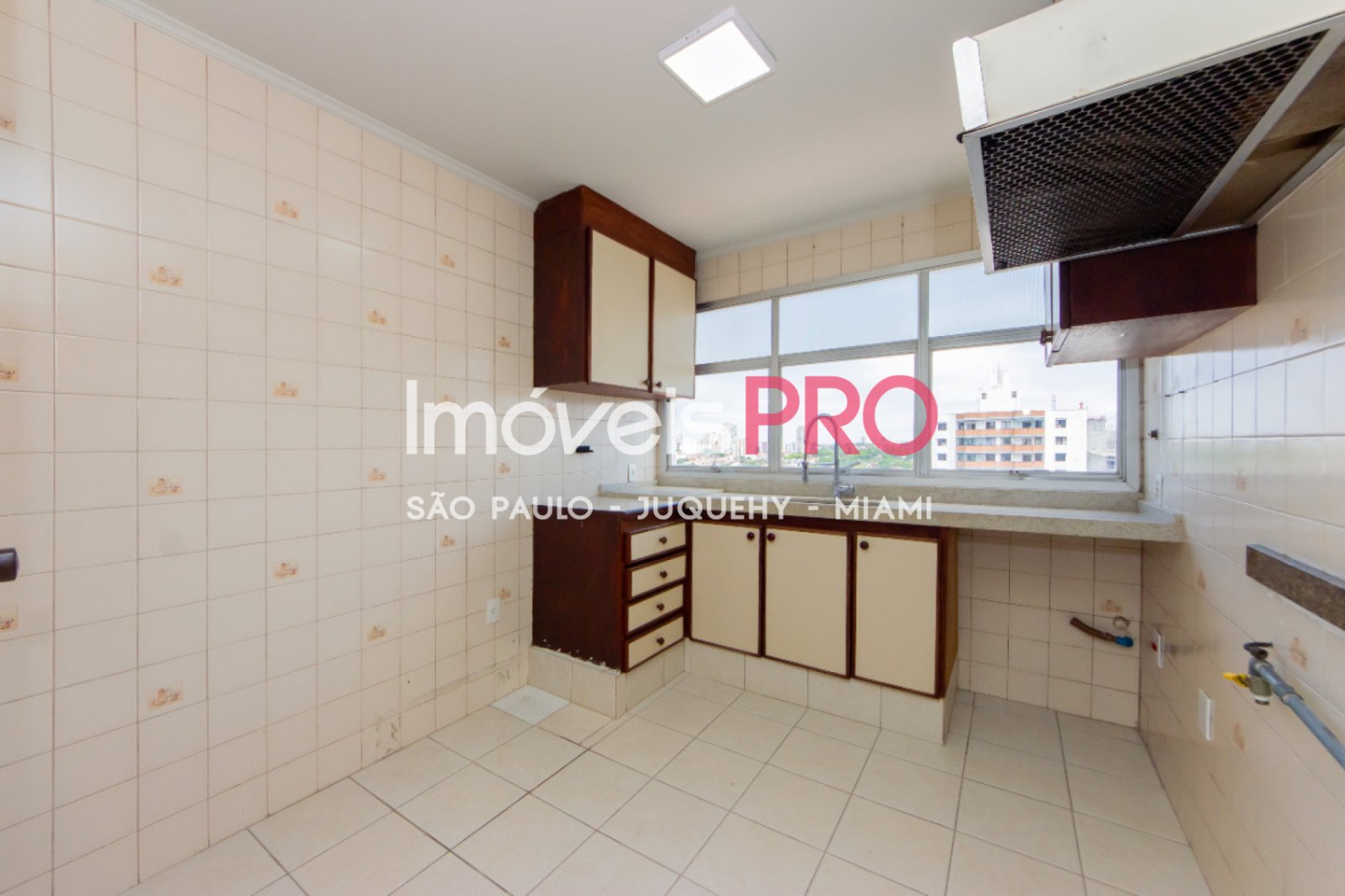 Foto :: IP38681