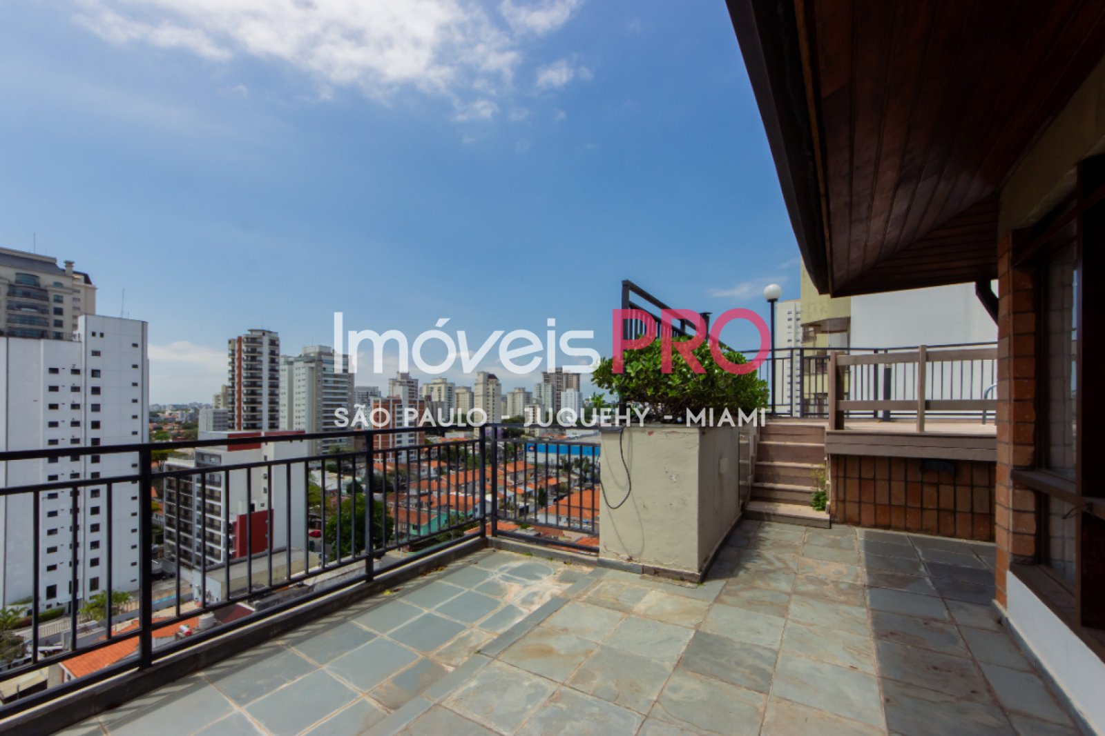Foto :: IP38681