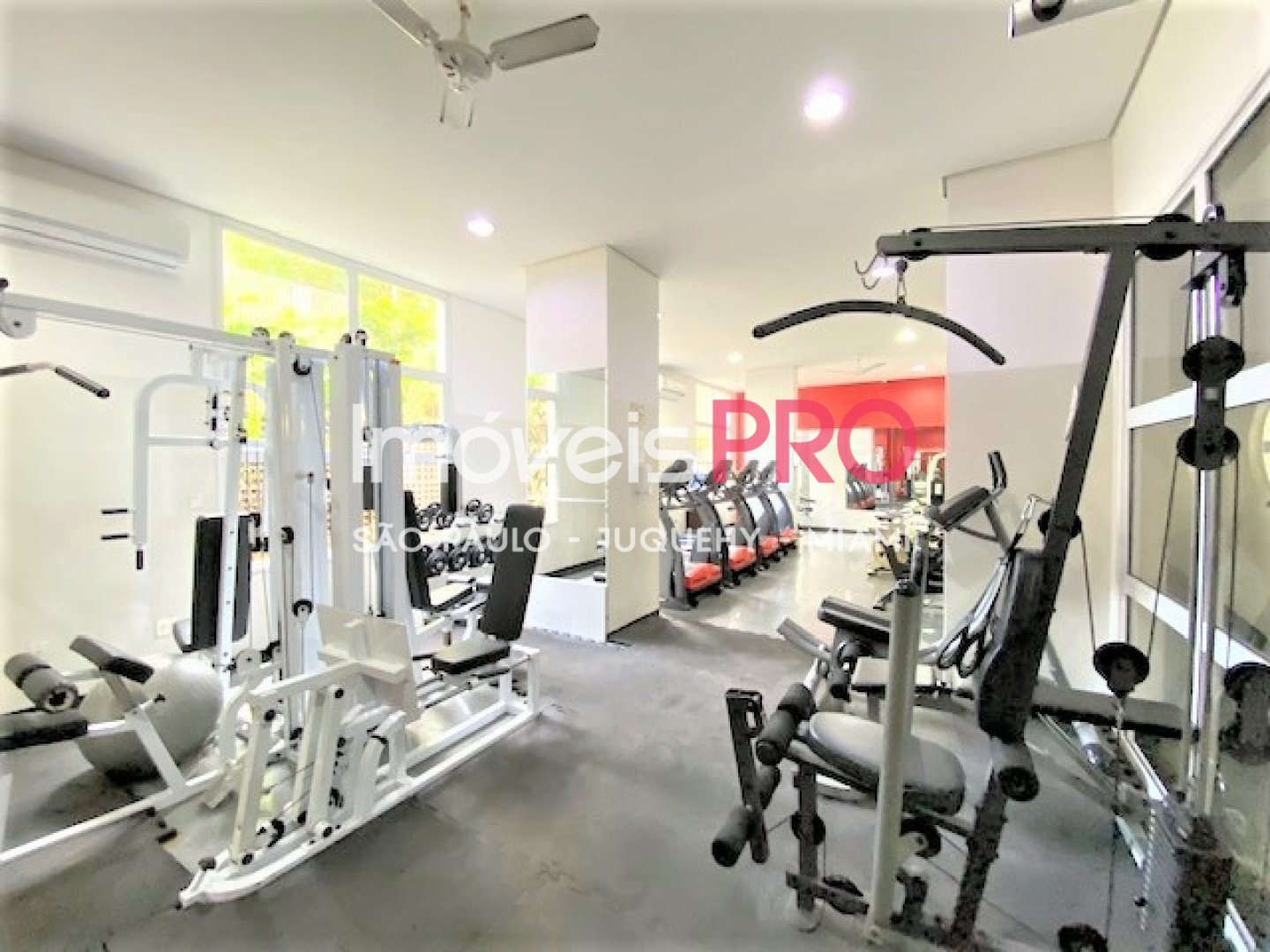Foto :: IP38684