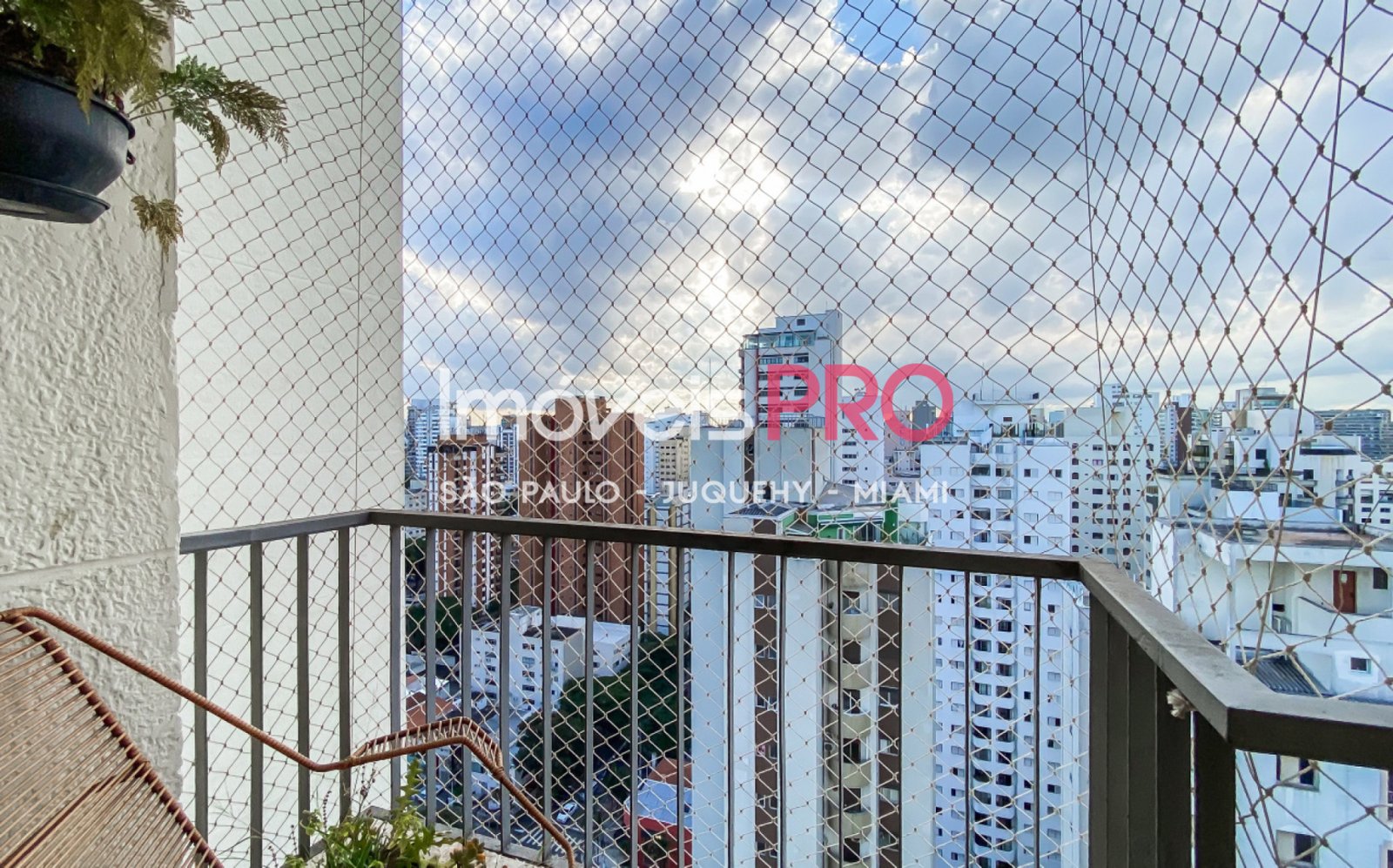 Foto :: IP38701