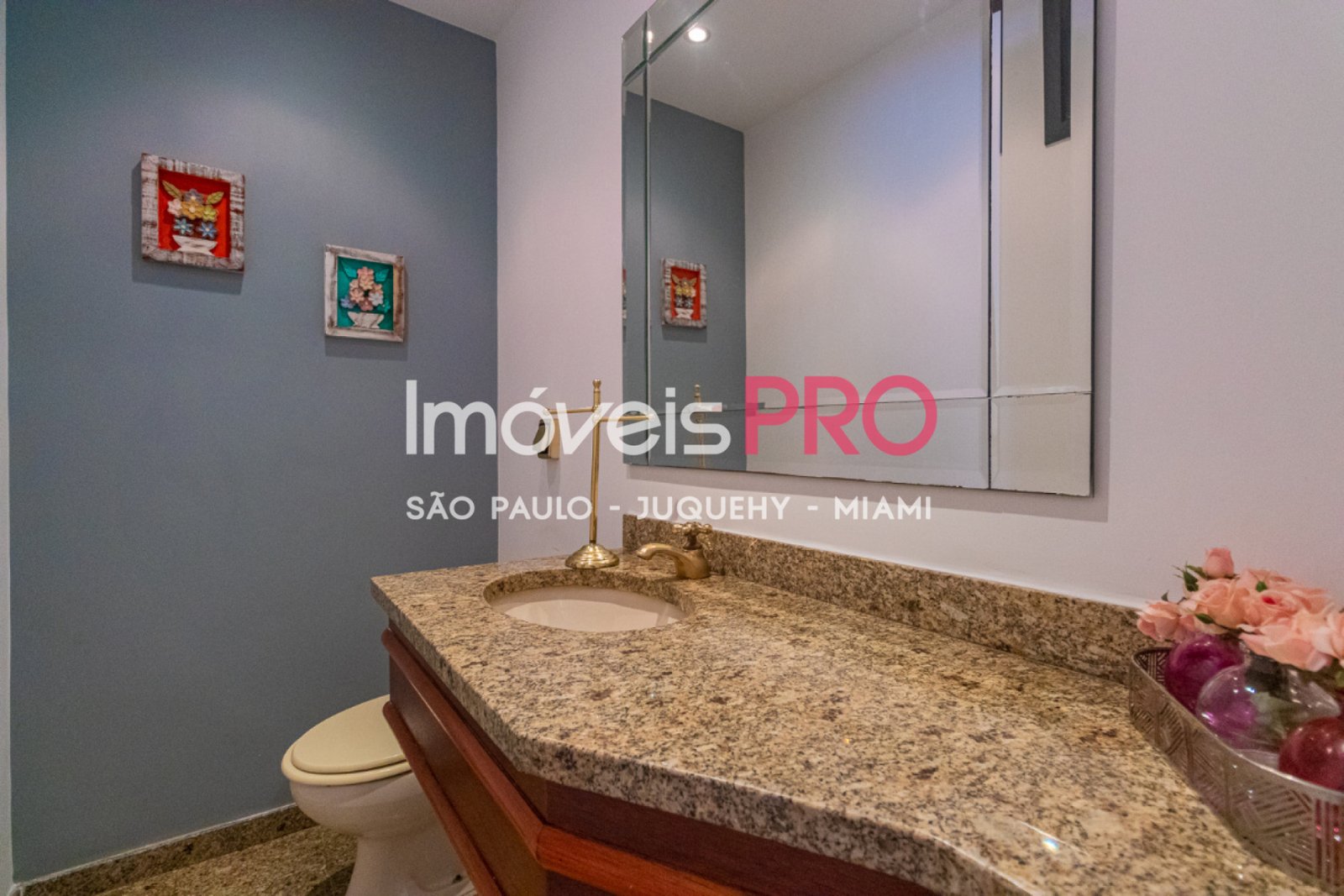 Foto :: https://assets.imoveispro.com.br/thumb/IP38702/apartamento-venda-moema-passaros_IP38702_17_1920x1080.jpg?