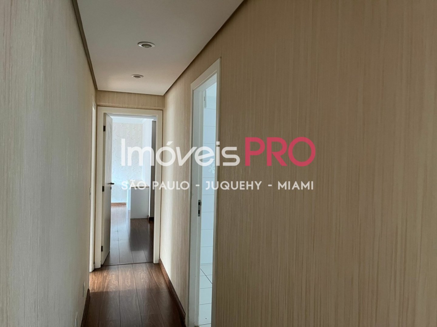 Foto :: IP38720