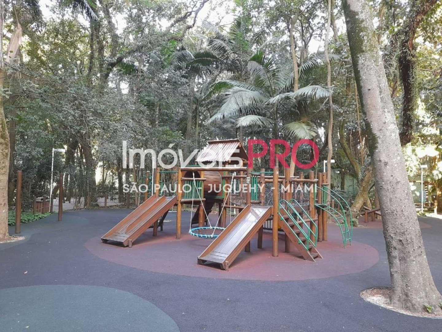 Foto :: IP38720