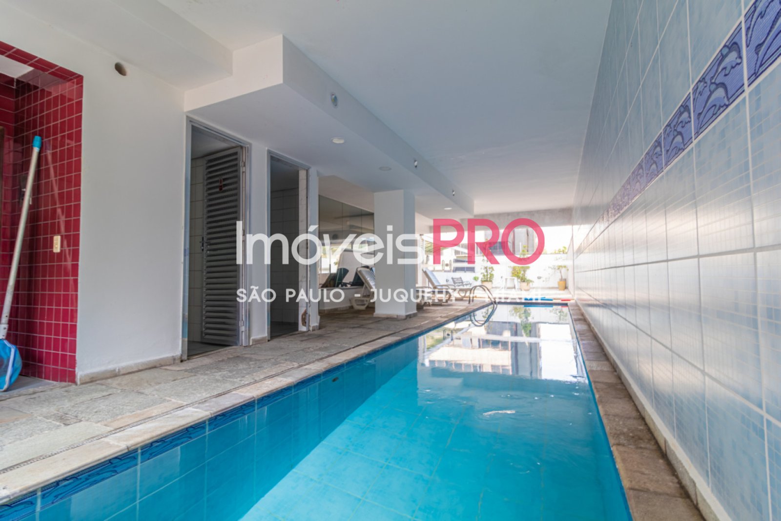 Foto :: IP38722
