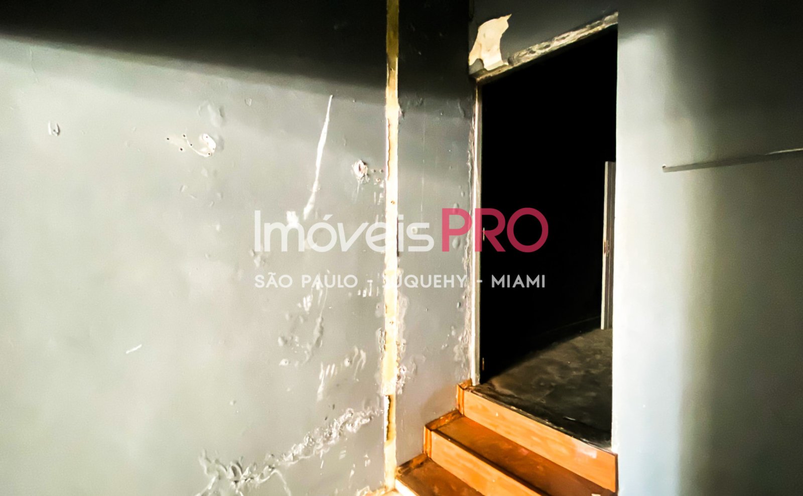 Foto :: IP38757