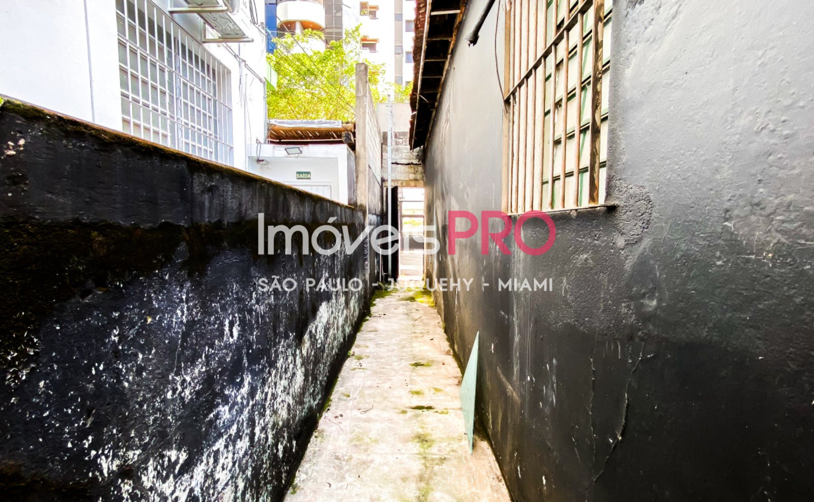 Foto :: IP38757