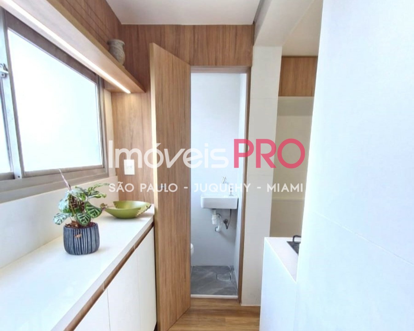 Foto :: IP38758