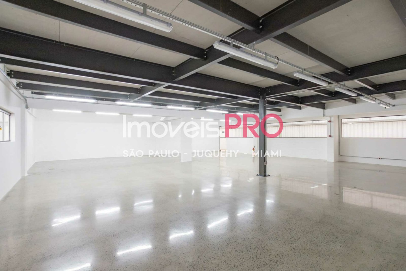 Foto :: IP38771