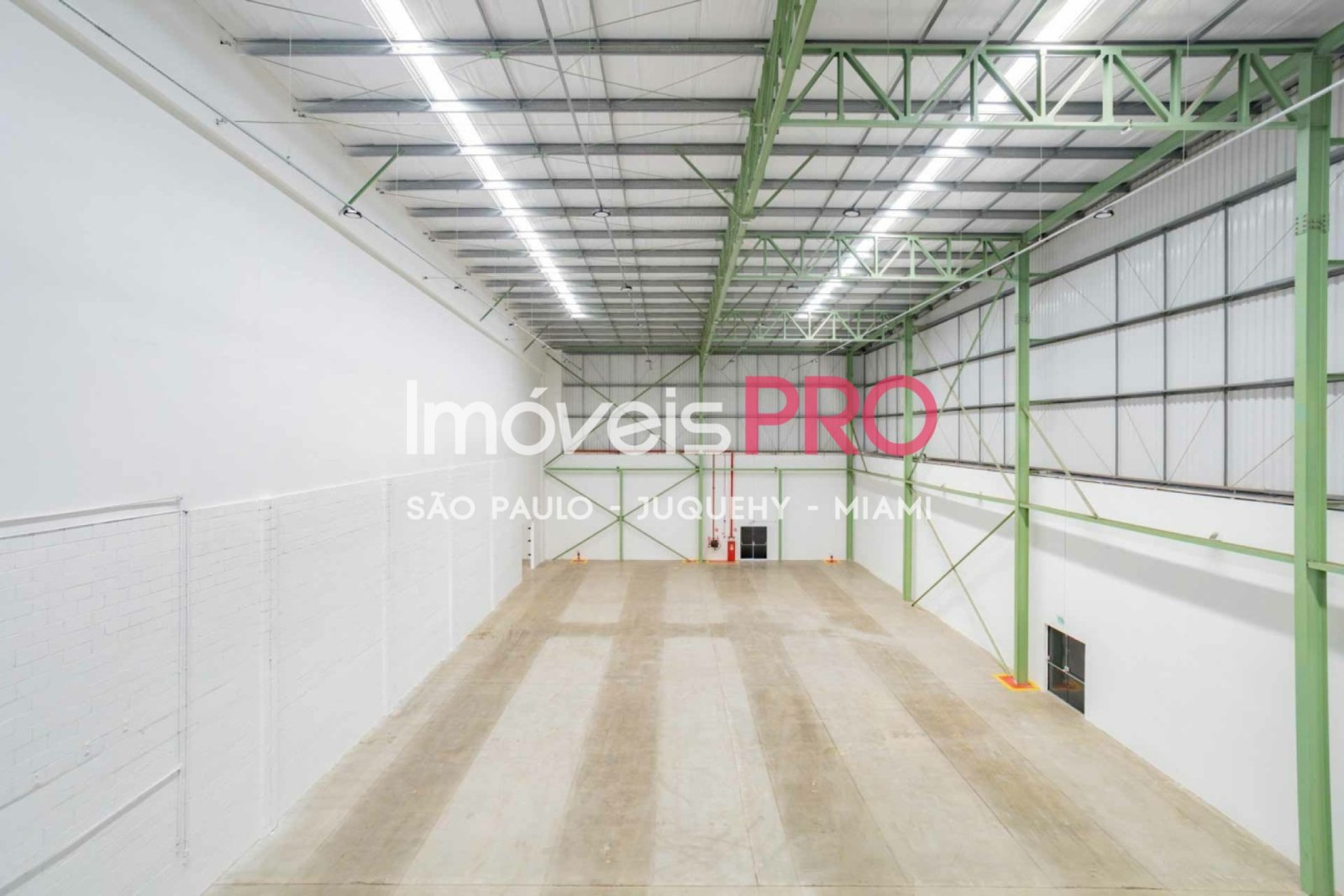 Foto :: IP38771