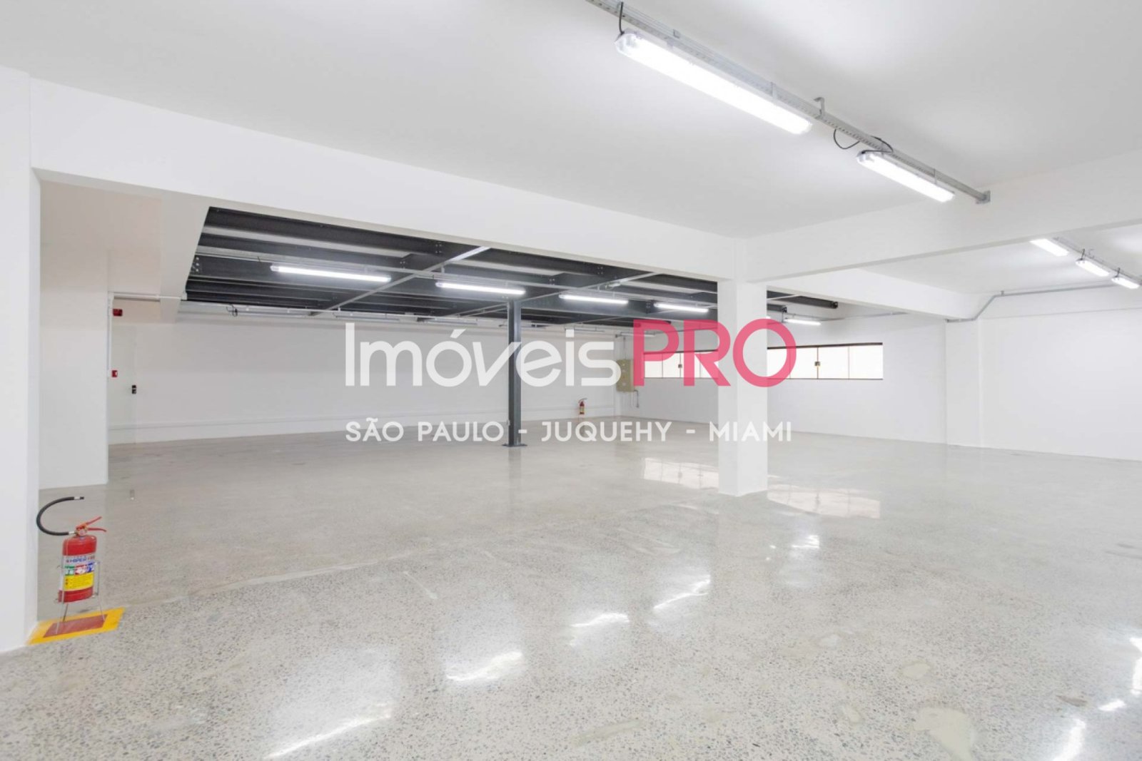Foto :: IP38771